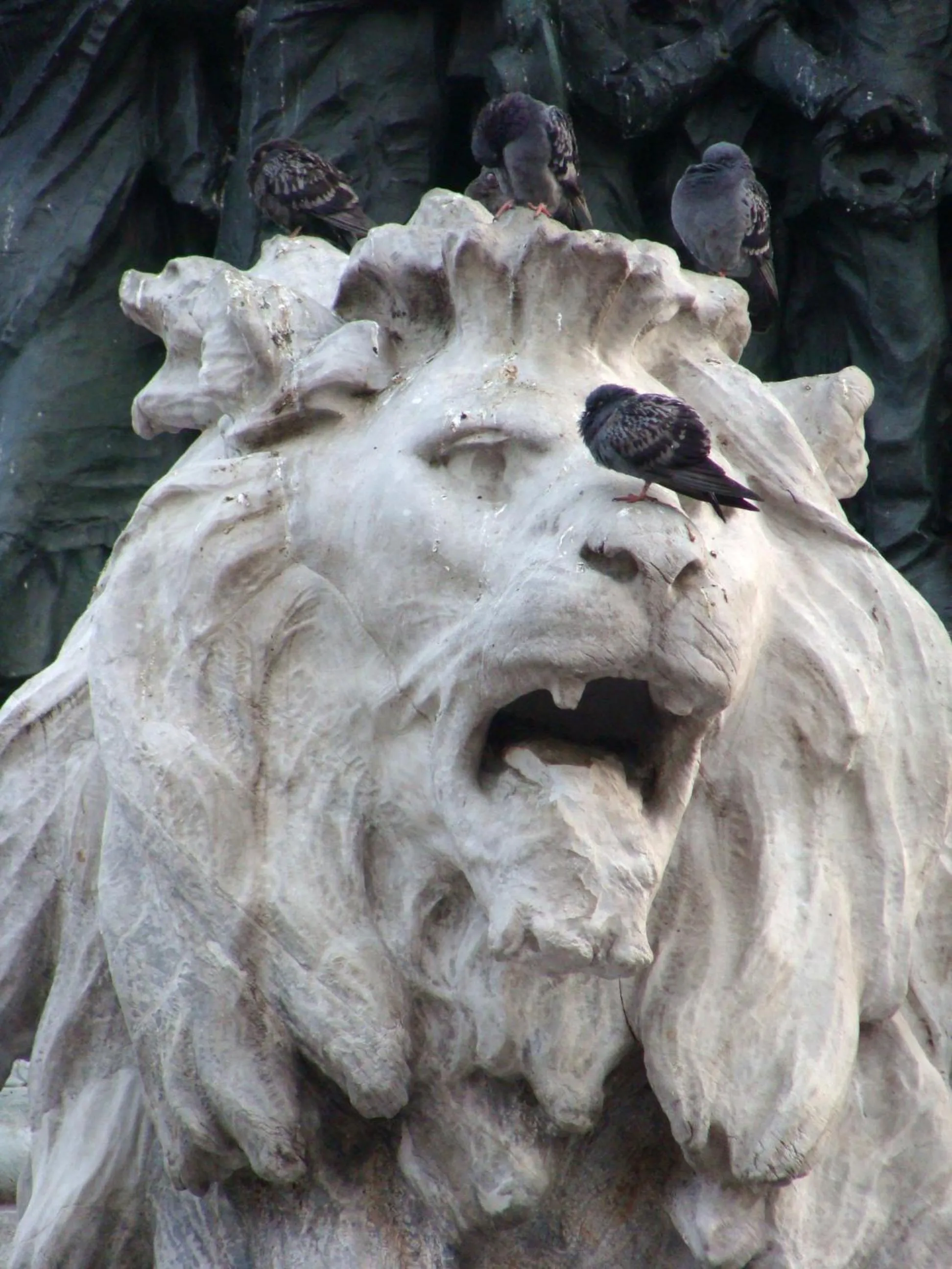 Area and facilities in Hotel Paradiso