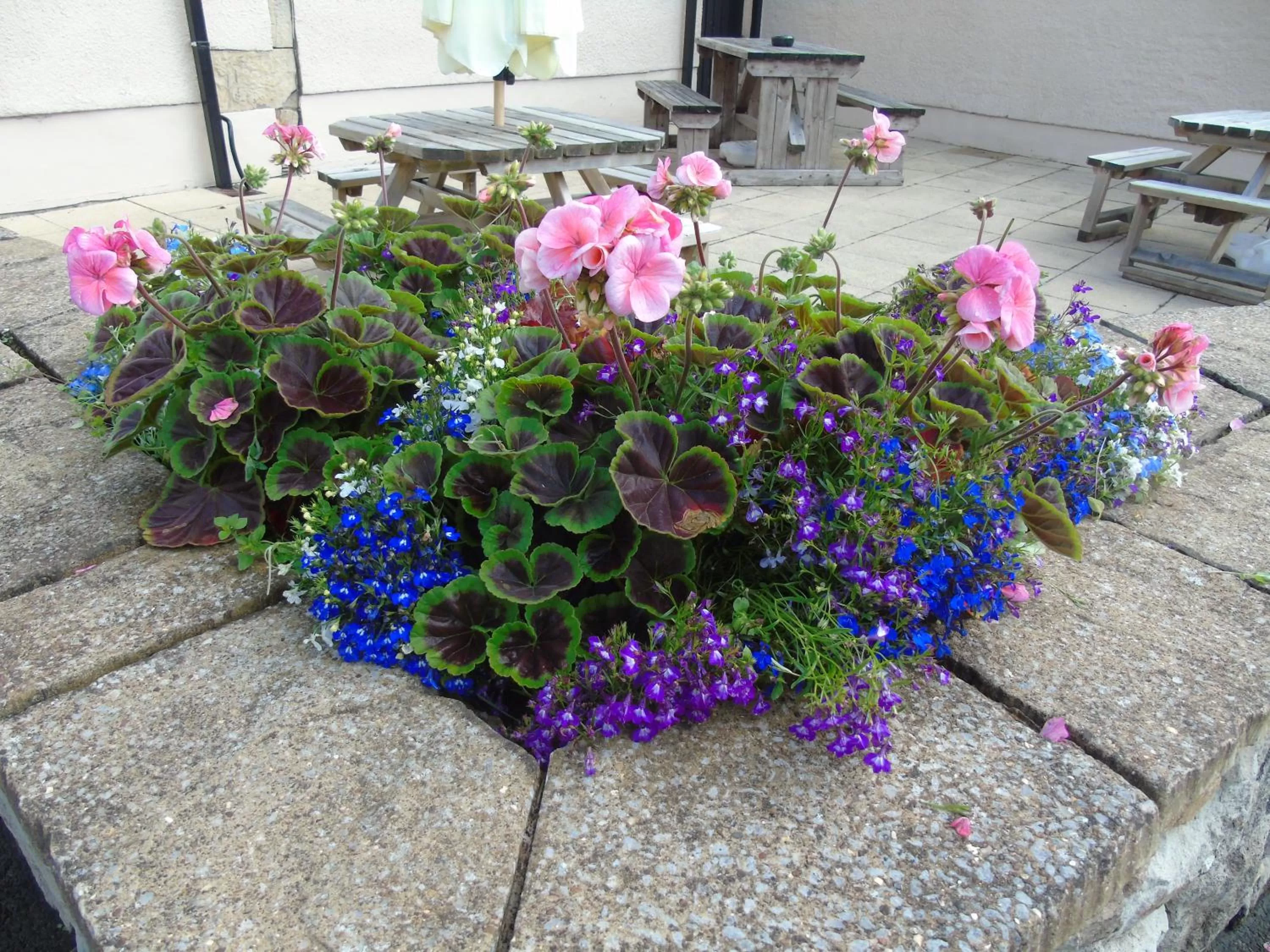 Property building in The Old Ginn House Inn