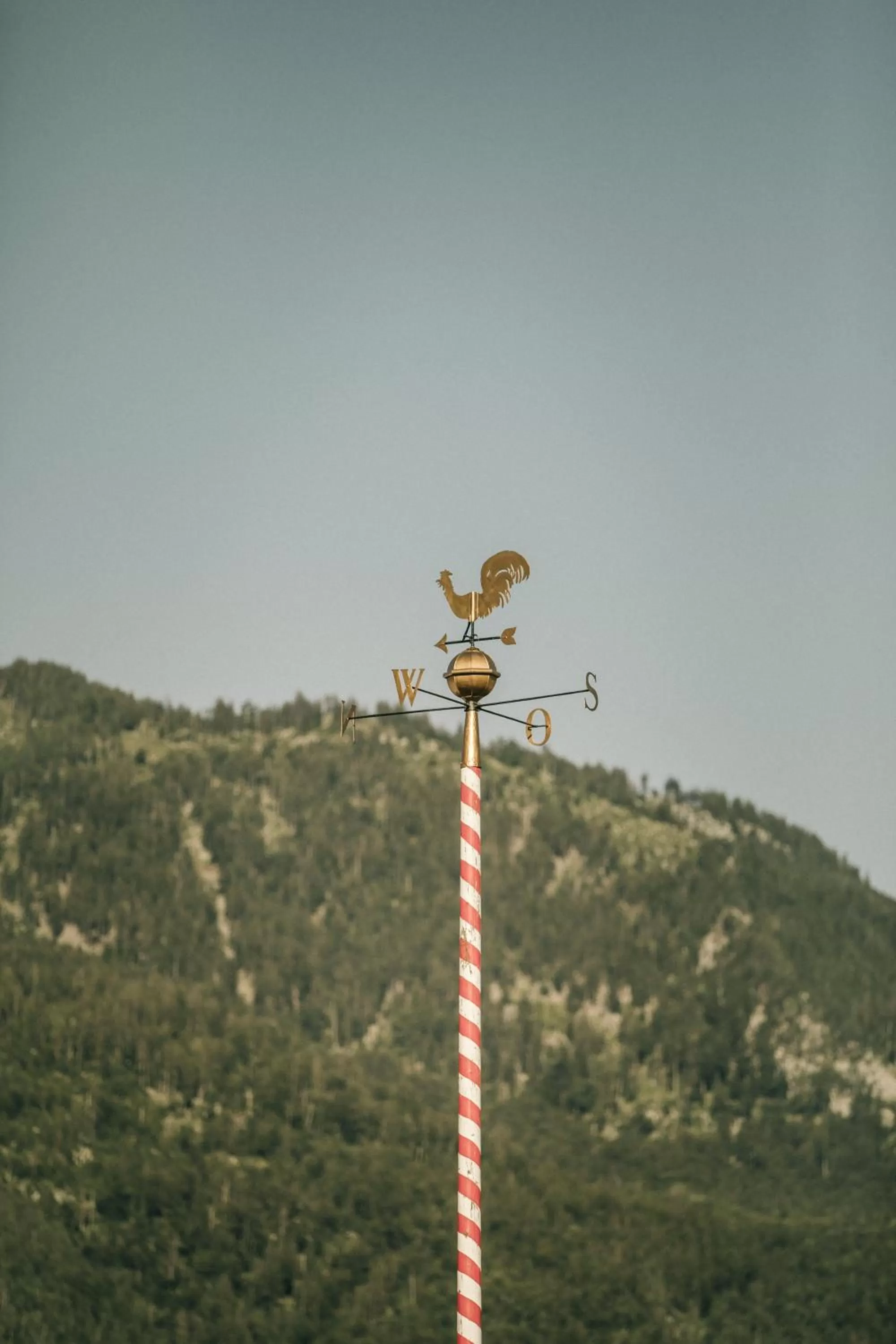 Staff in Hotel Goldener Ochs