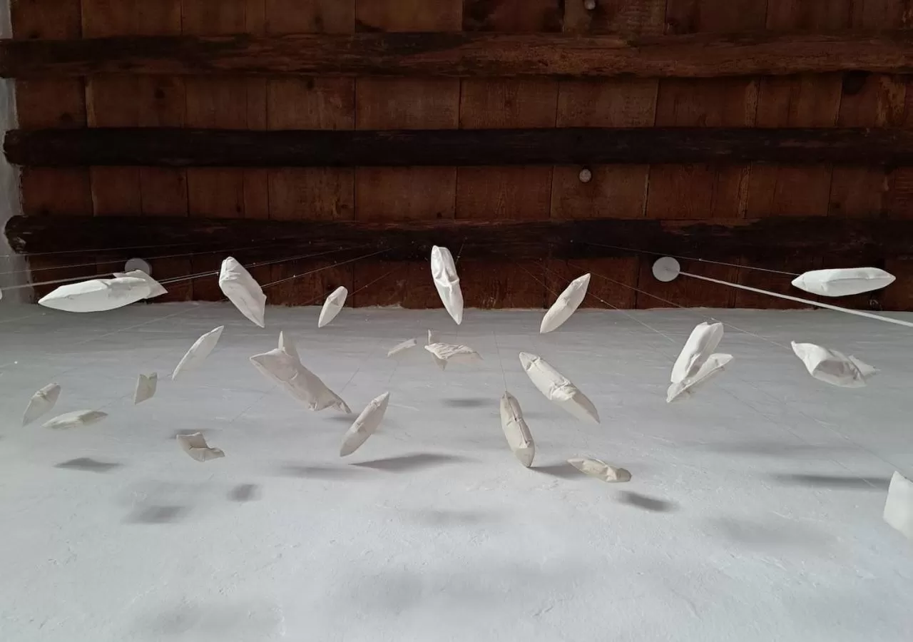 Decorative detail, Other Animals in Casa de las Flores - Hotel Boutique Lanzarote