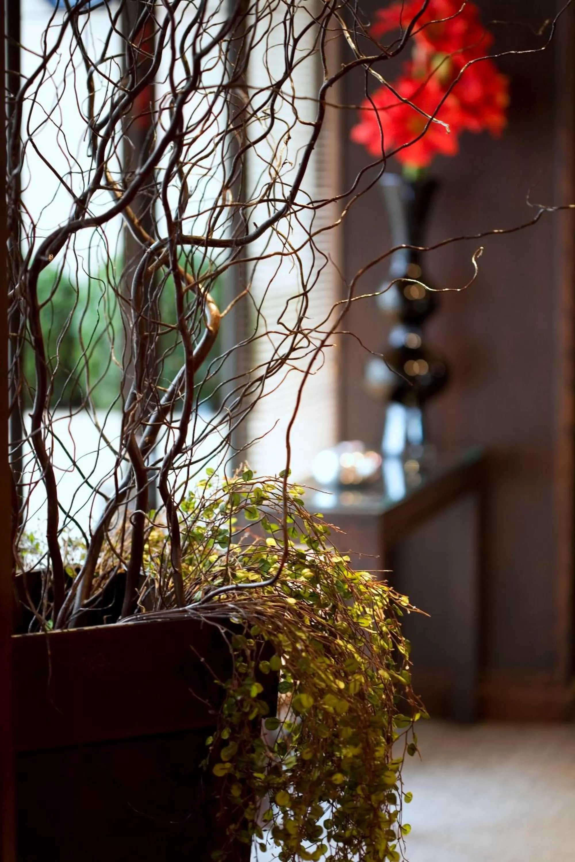 Decorative detail in Paris Bastille