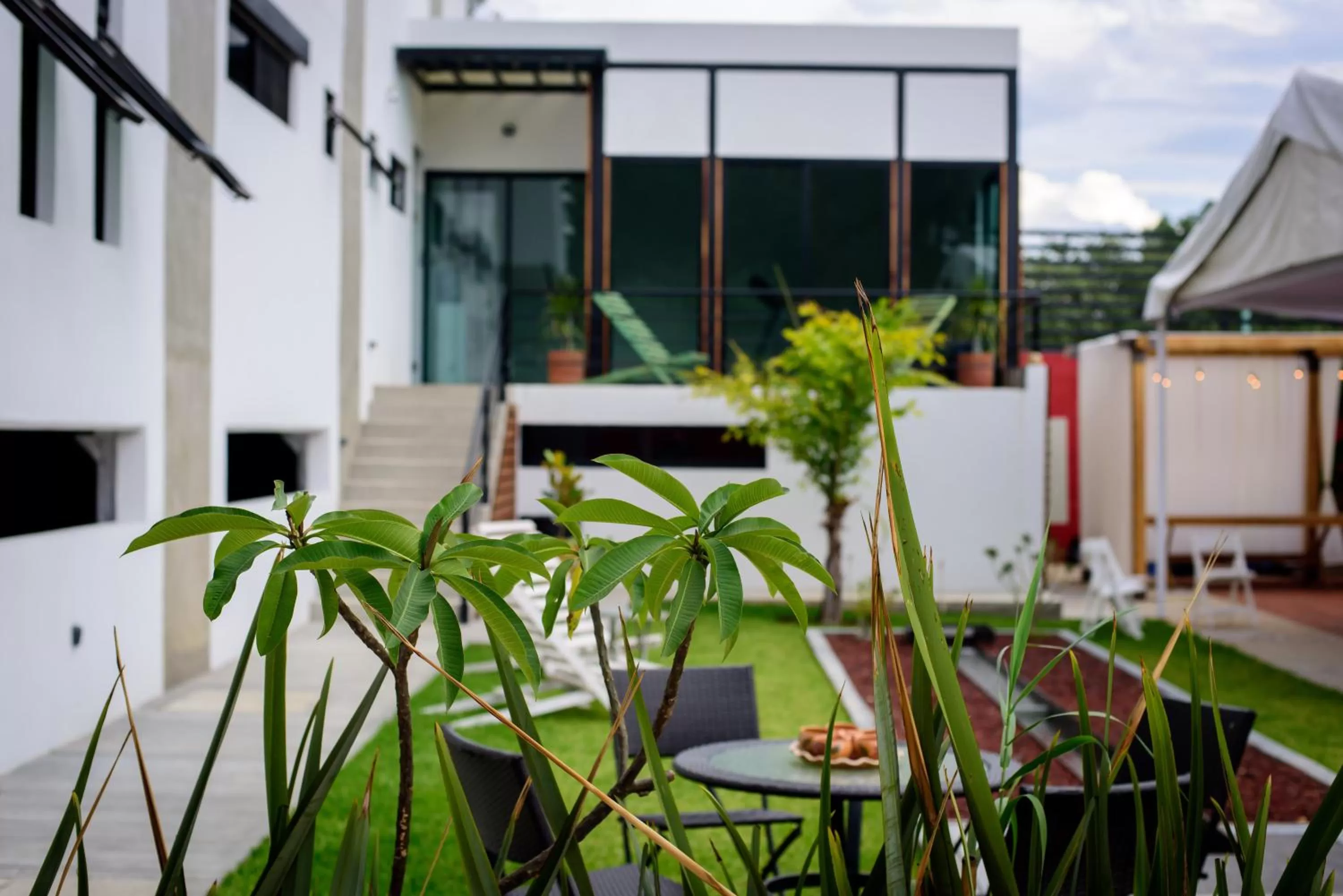 Garden in Maria Ines Hotel Suite