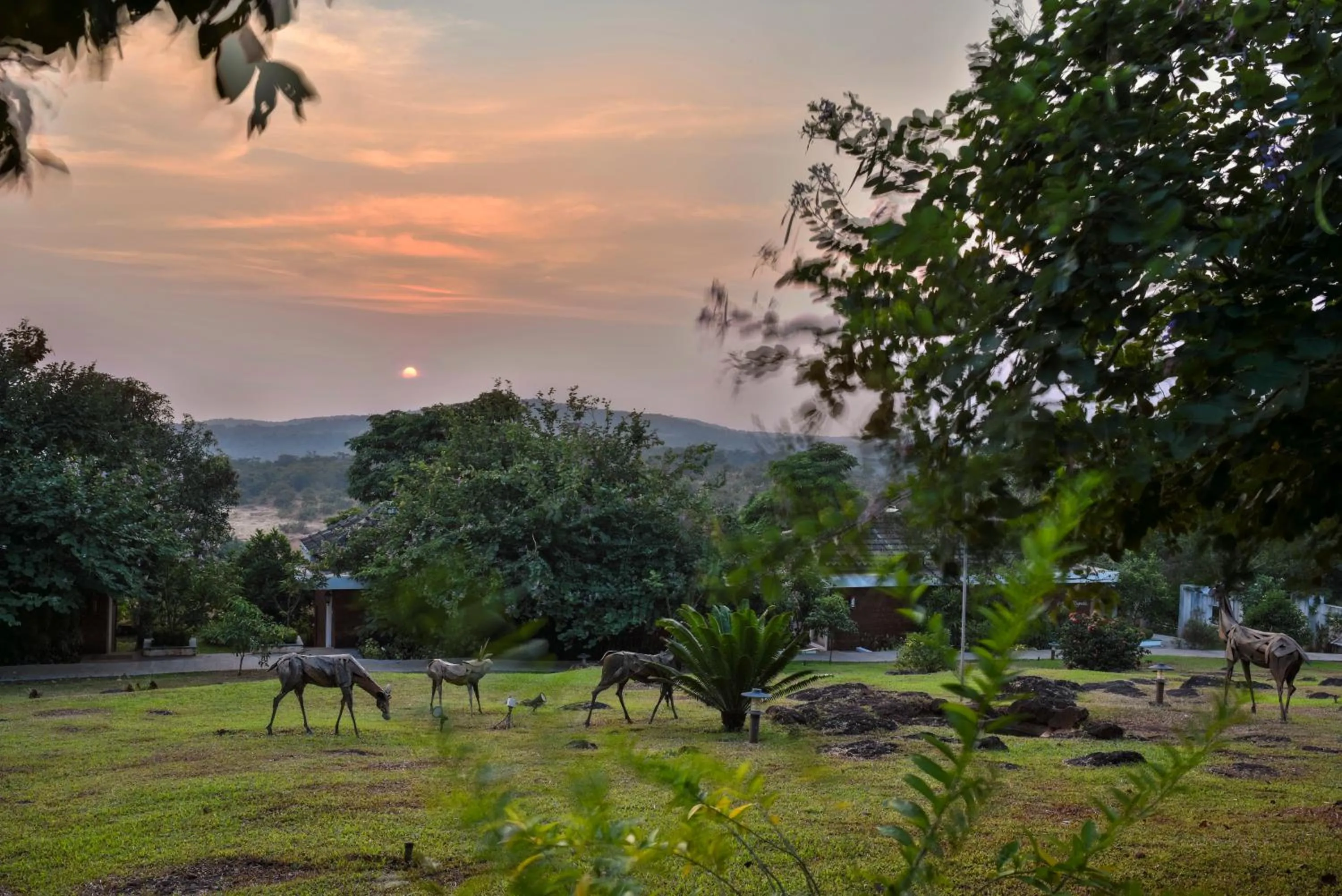 Garden in The Fern Samali Resort