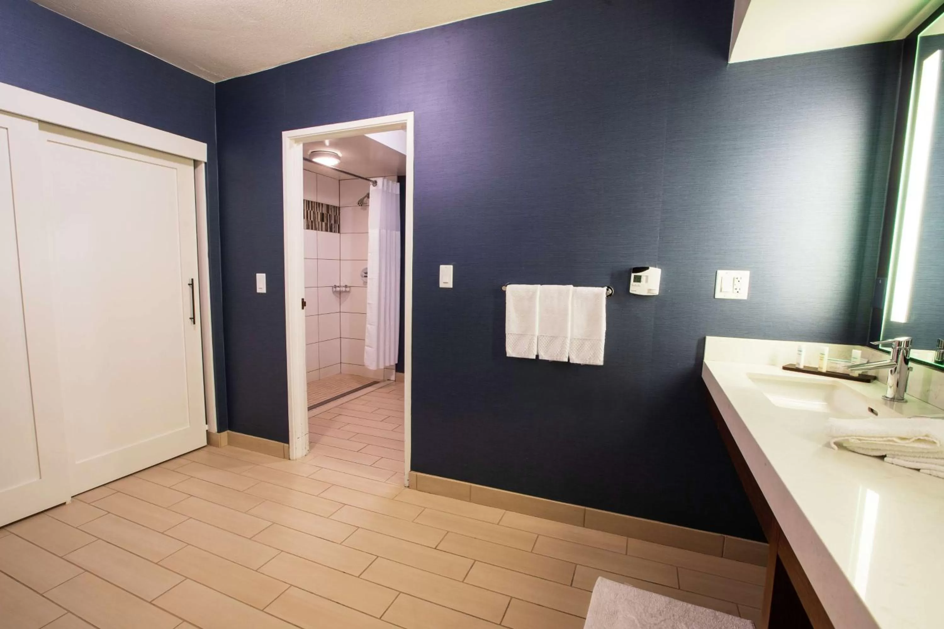Bathroom in Embassy Suites by Hilton Scottsdale Resort