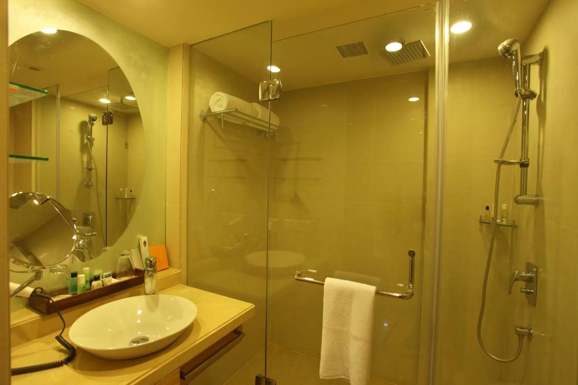 Shower in Comfort Inn Legacy