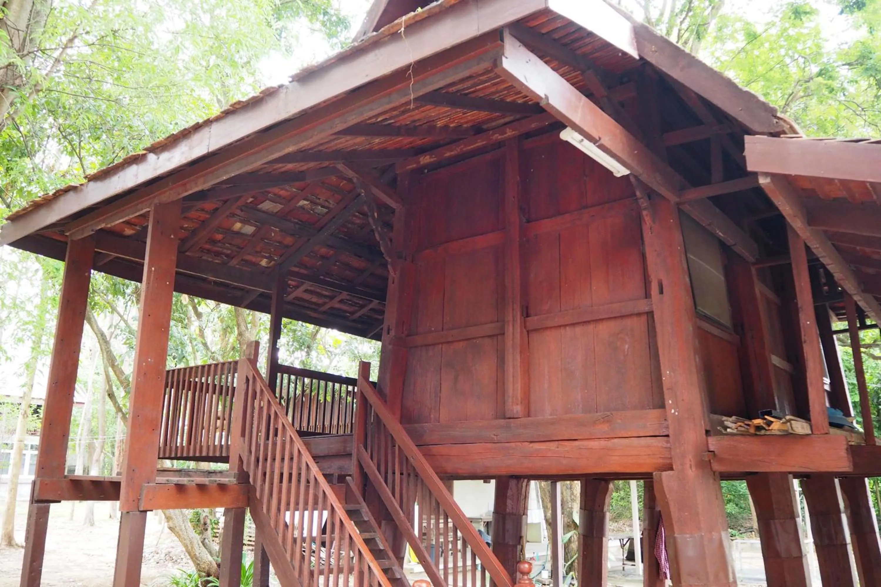 Property building in Insight Hostel