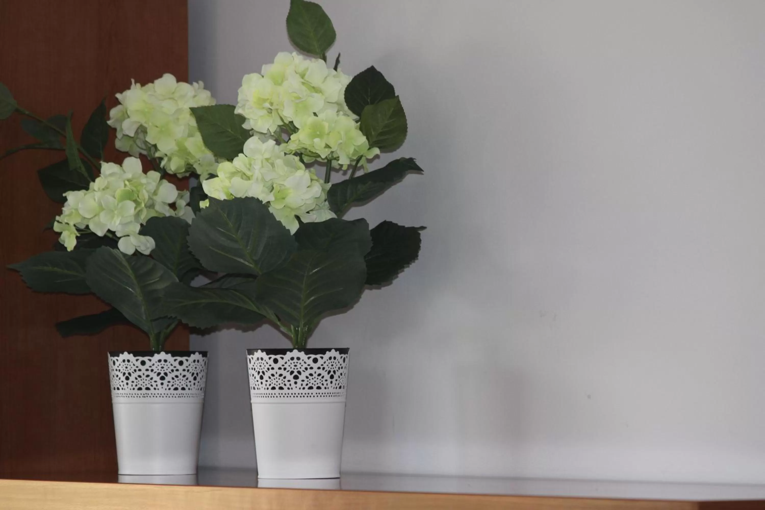 Other in Aparthotel Marsol