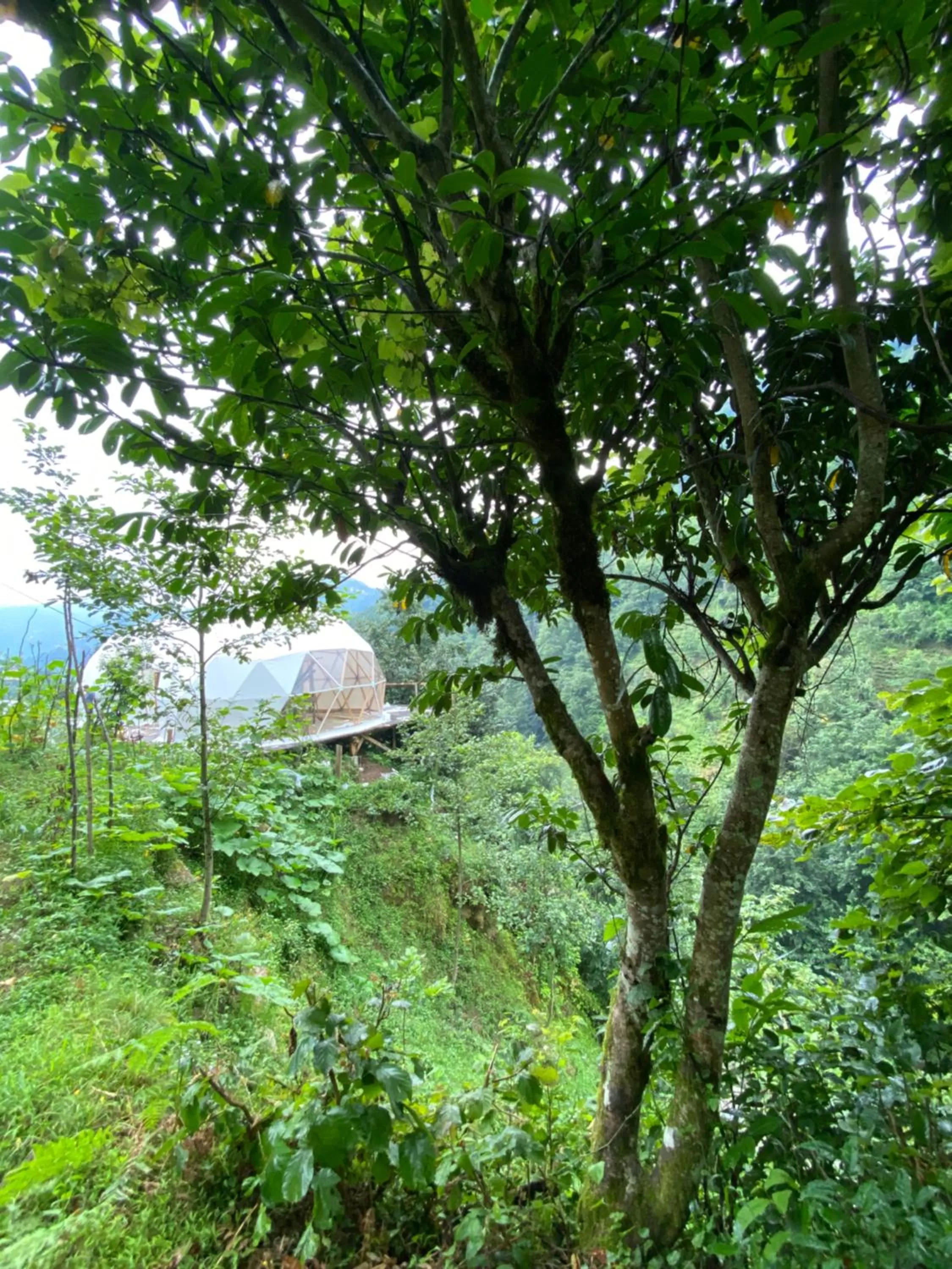 Natural landscape in North Dome & Suite