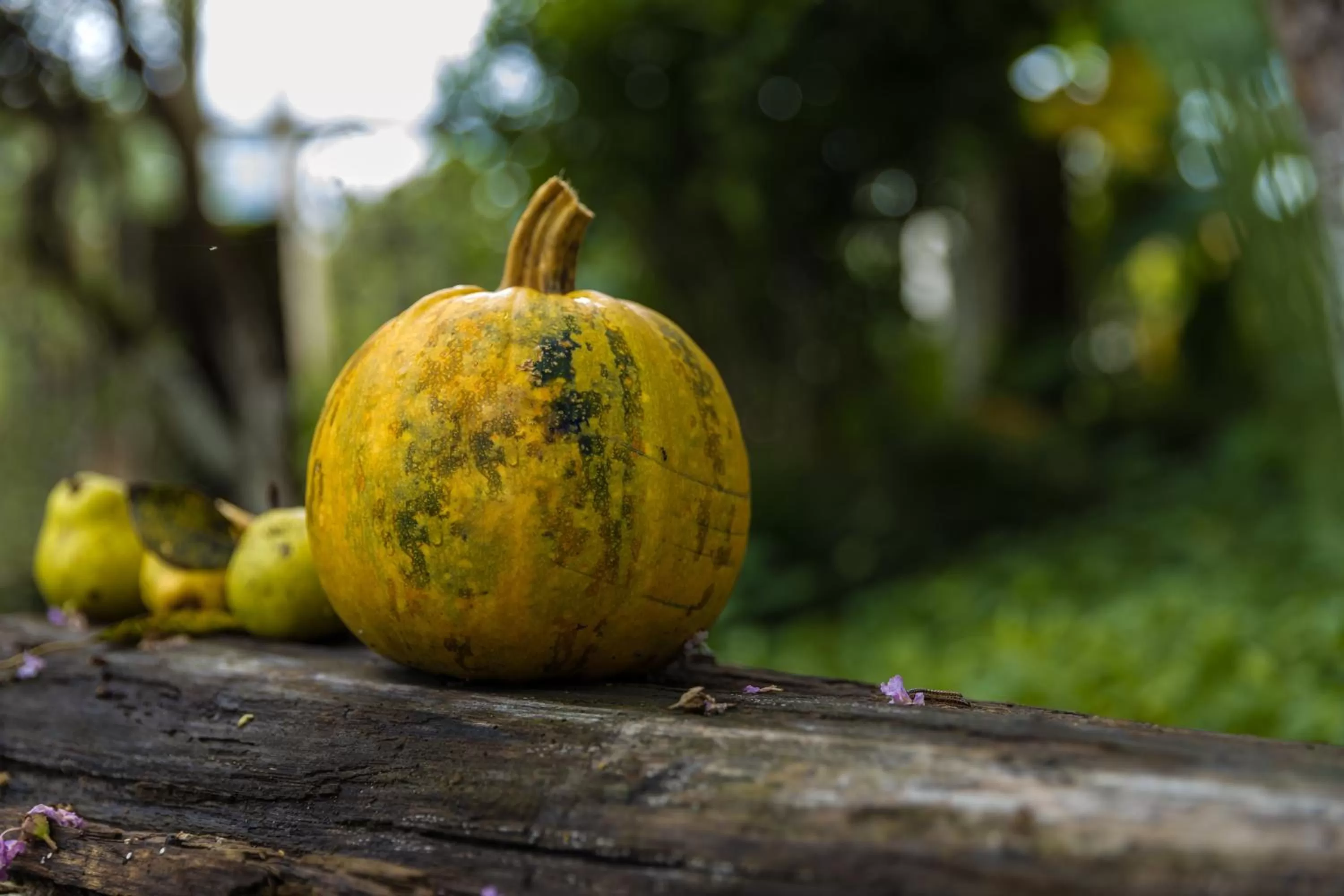 Food and drinks in TJ GARDENS