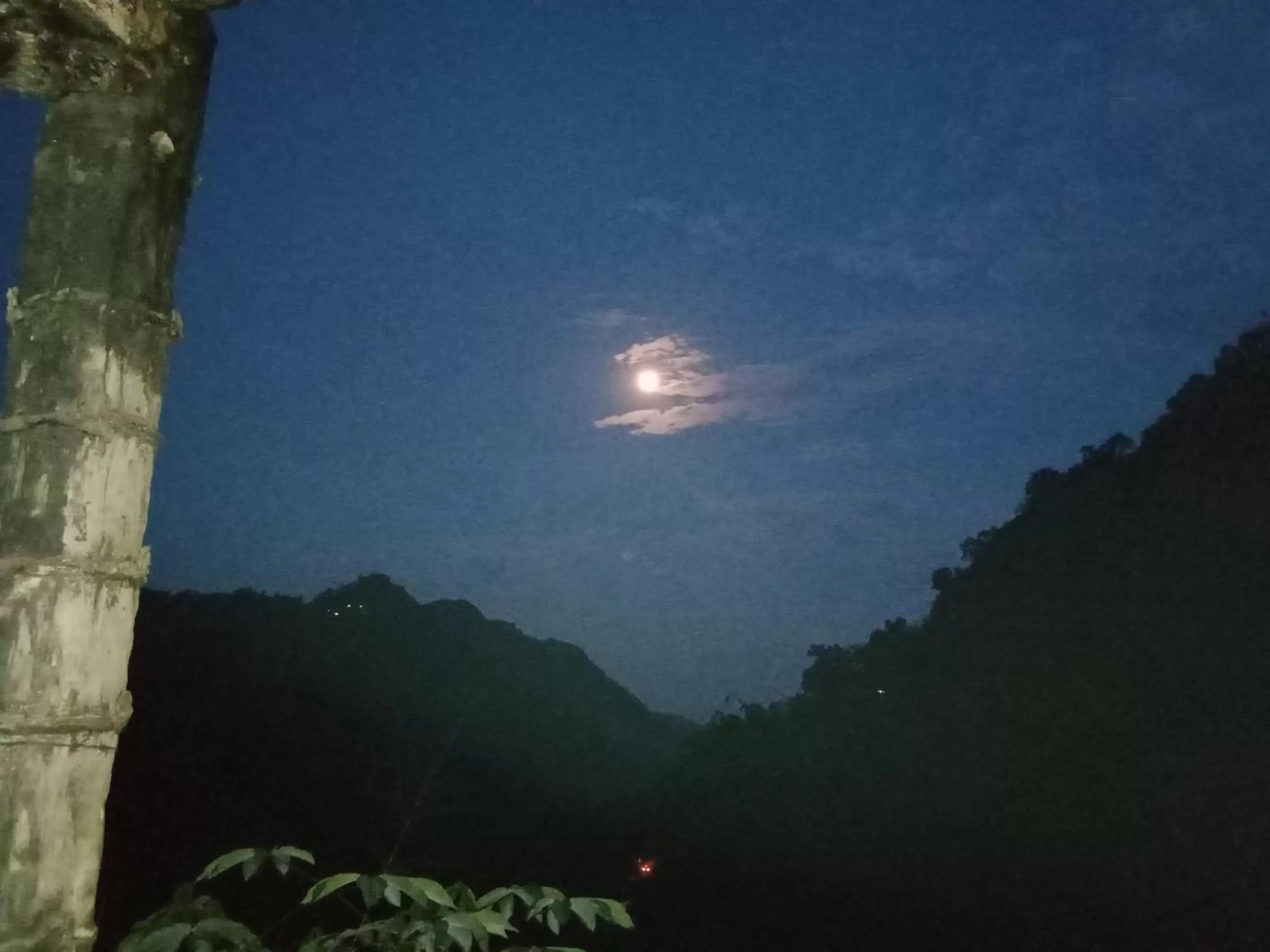 Ella Lucky Panoramic