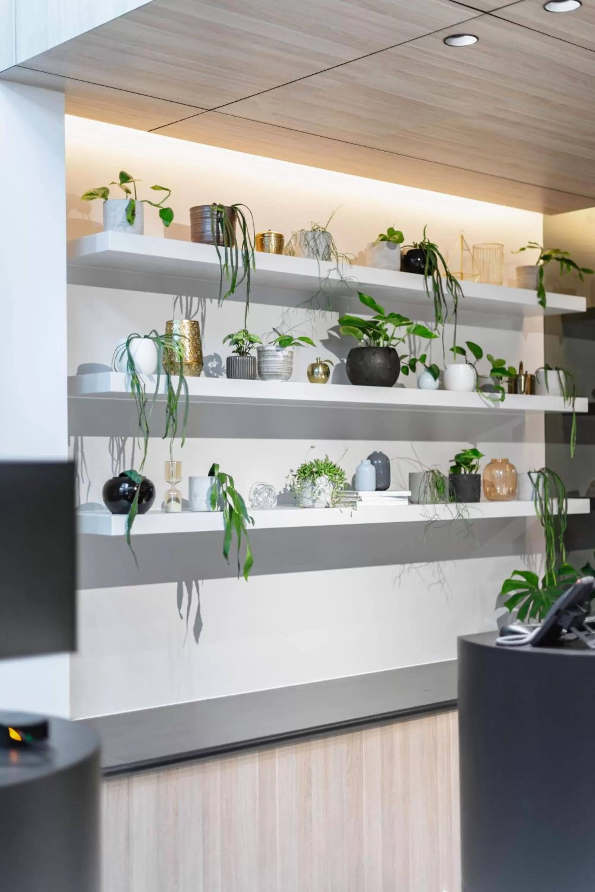 Lobby or reception in Brady Hotels Jones Lane