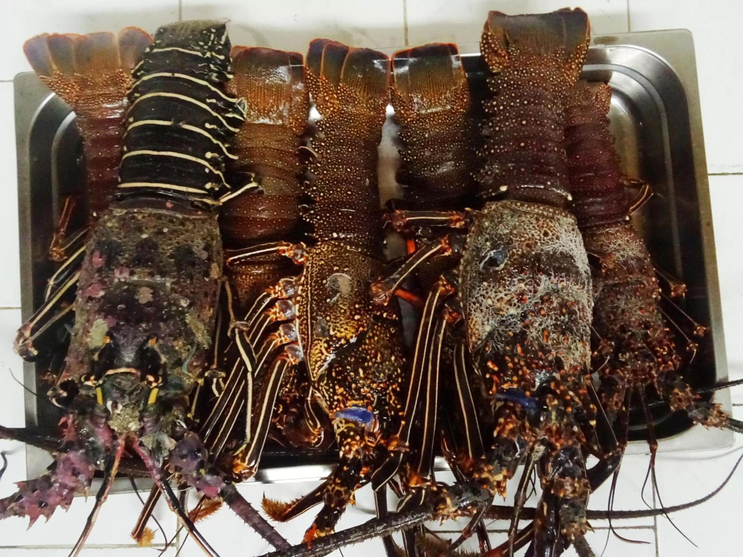 Restaurant/places to eat, Other Animals in Pensaò Big Game Maio