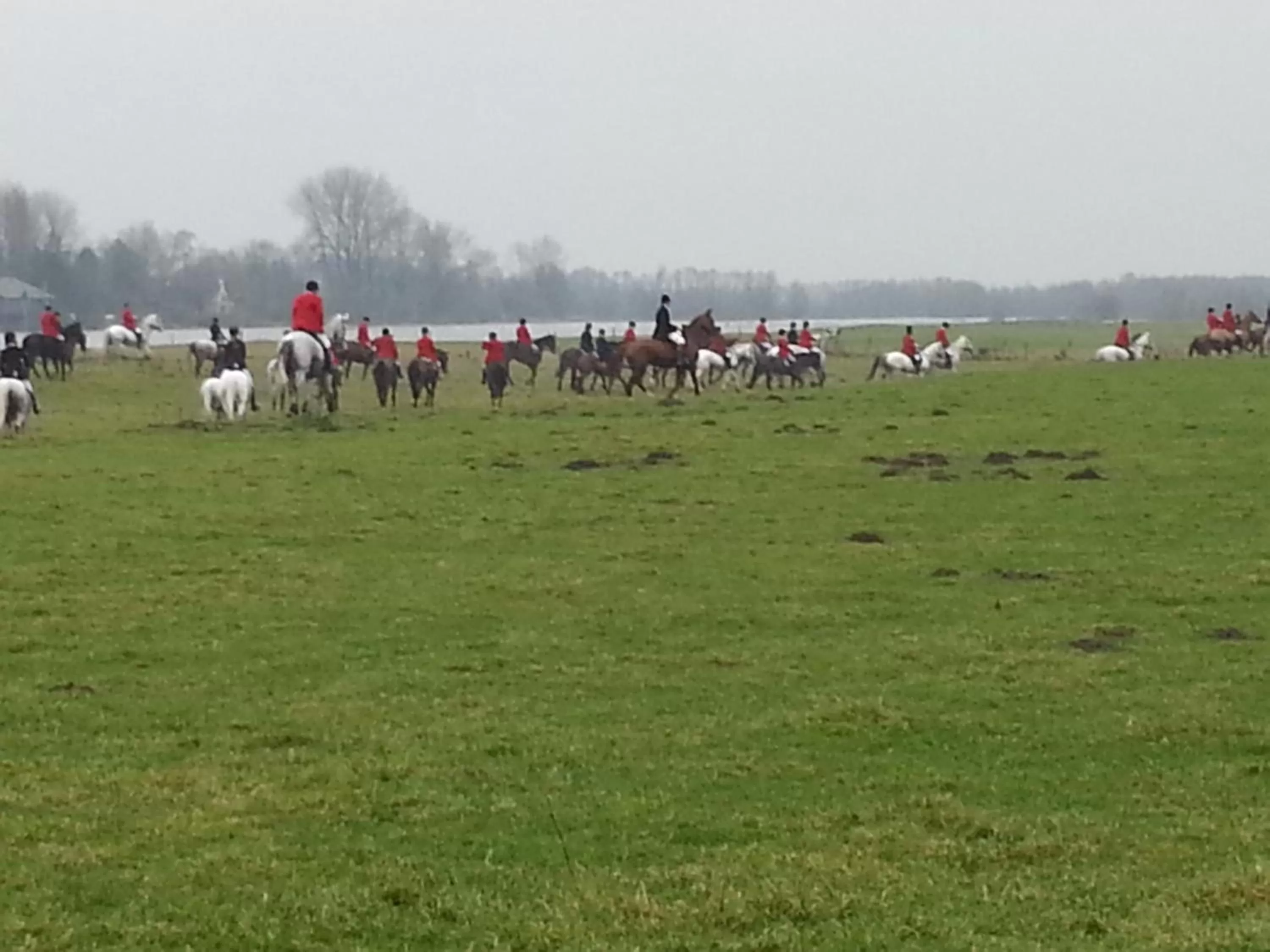 View (from property/room) in B&B de Rivierduin