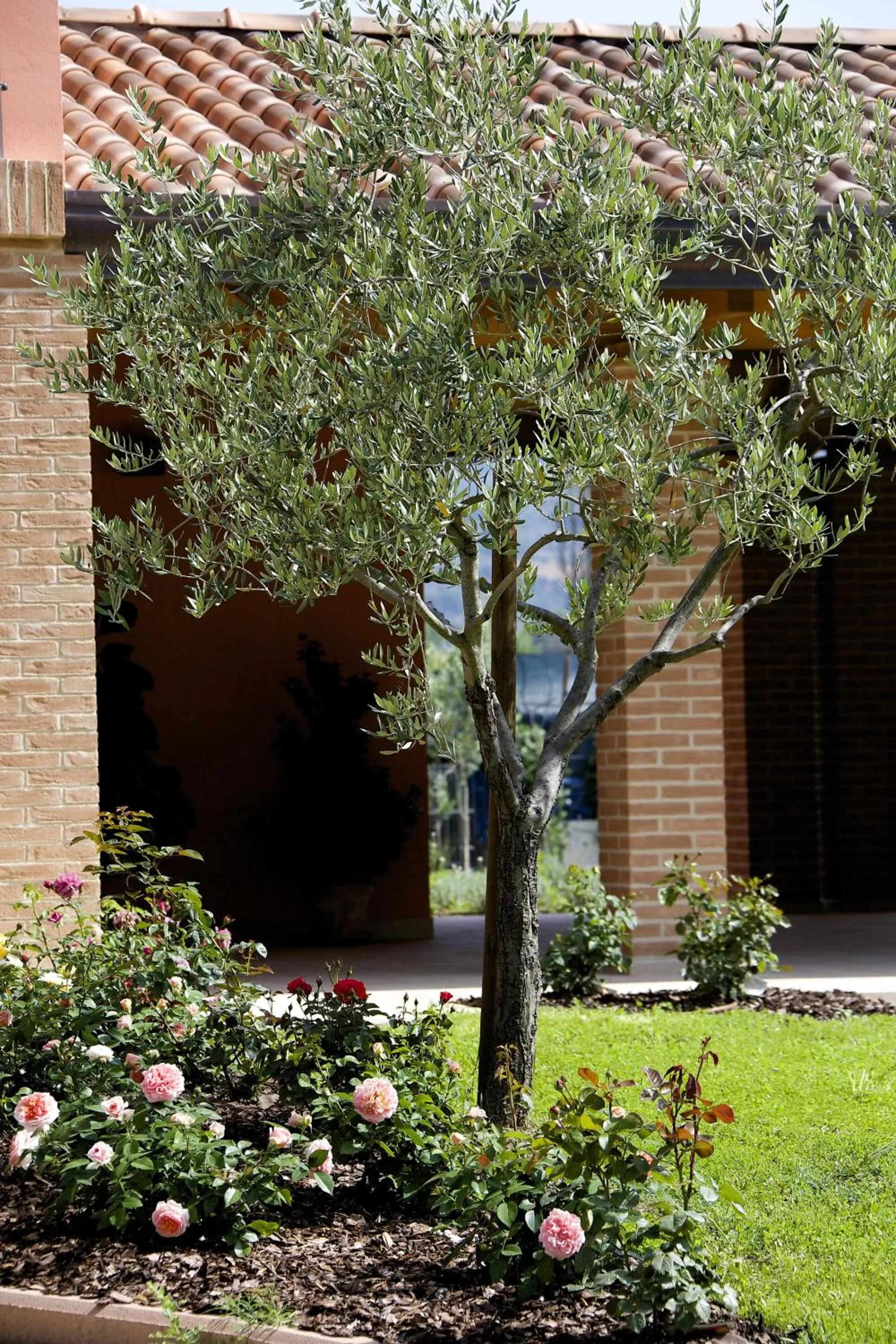 Garden in Campiglione Hotel