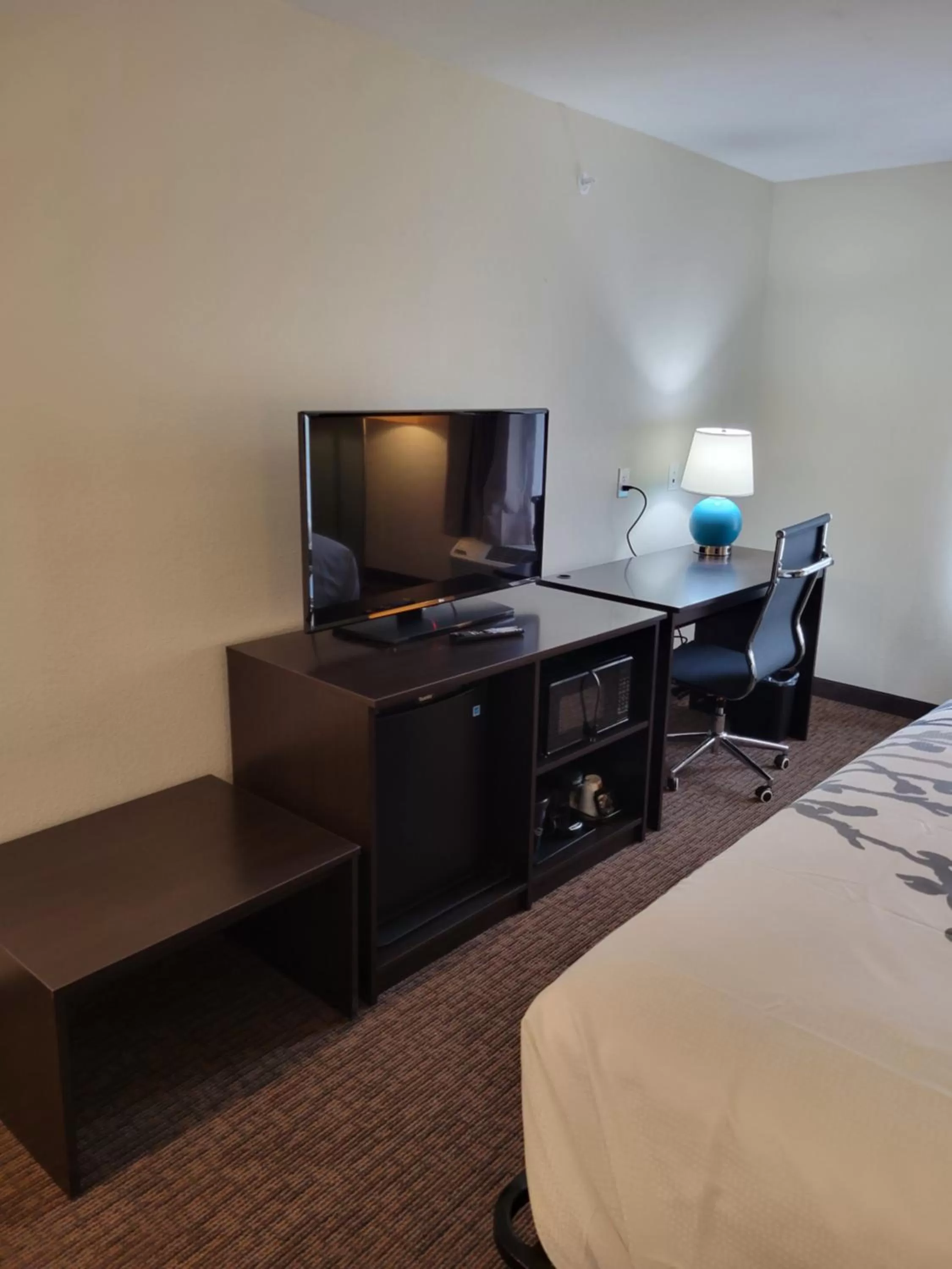 TV and multimedia, Bed in Sleep Inn Greensboro - Coliseum Area