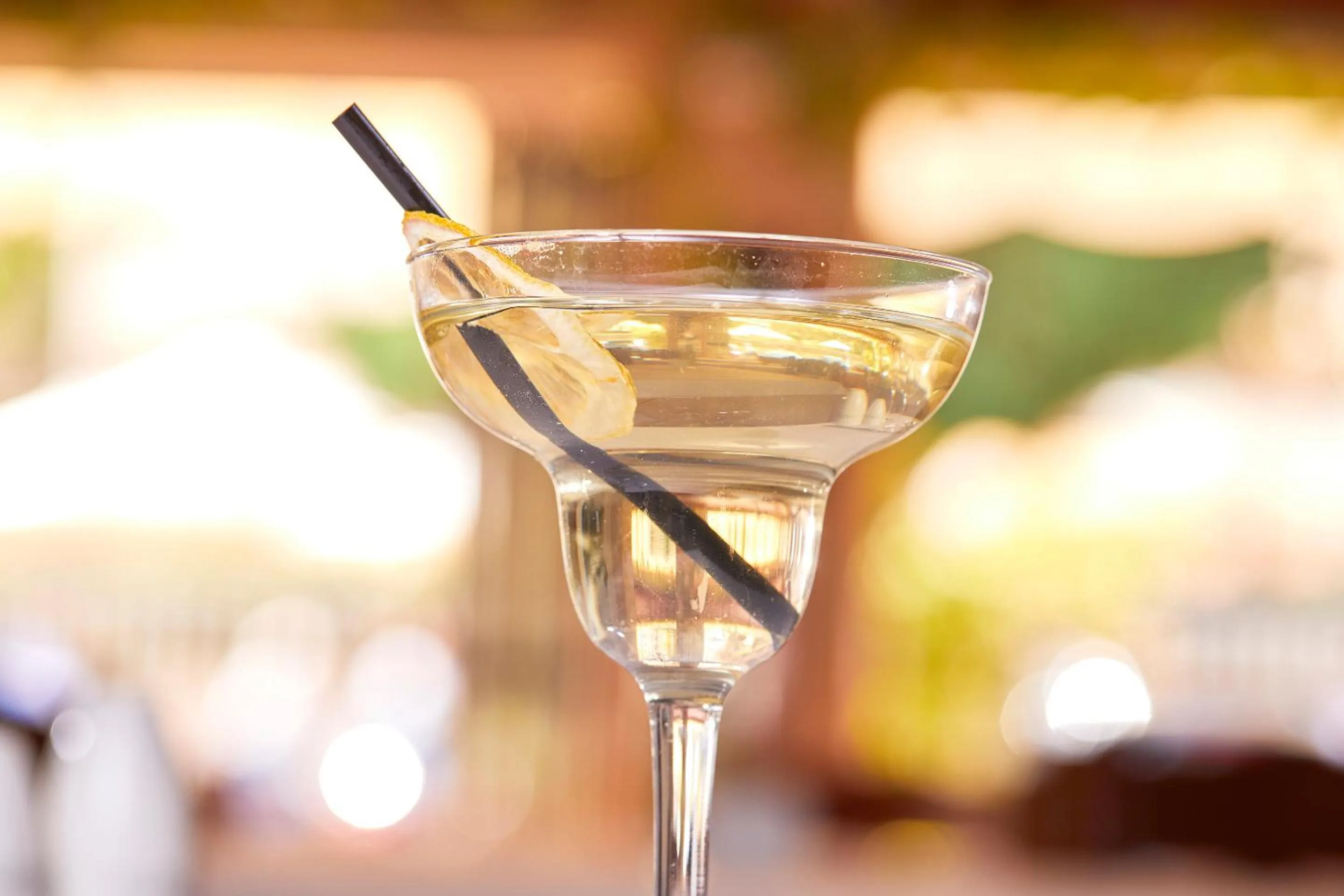 Food and drinks in Hotel Cupidor