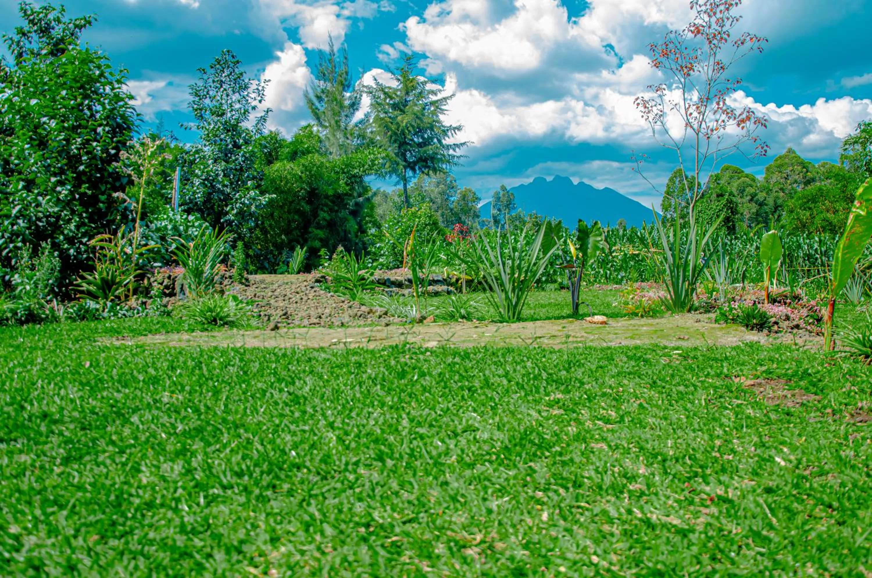 Garden in Fravan Eco Resort By Apogee