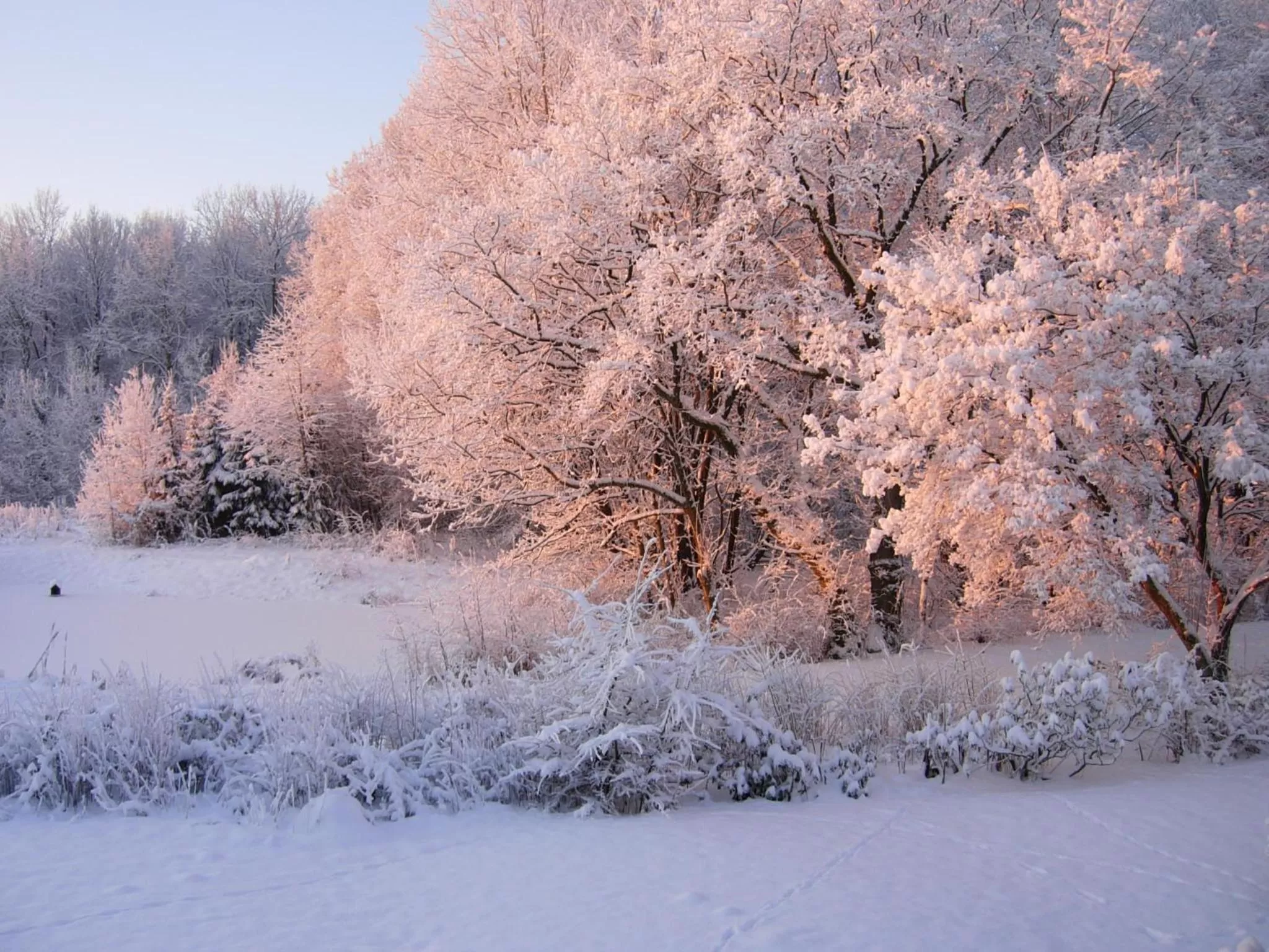 Natural landscape in Heddahgaarden