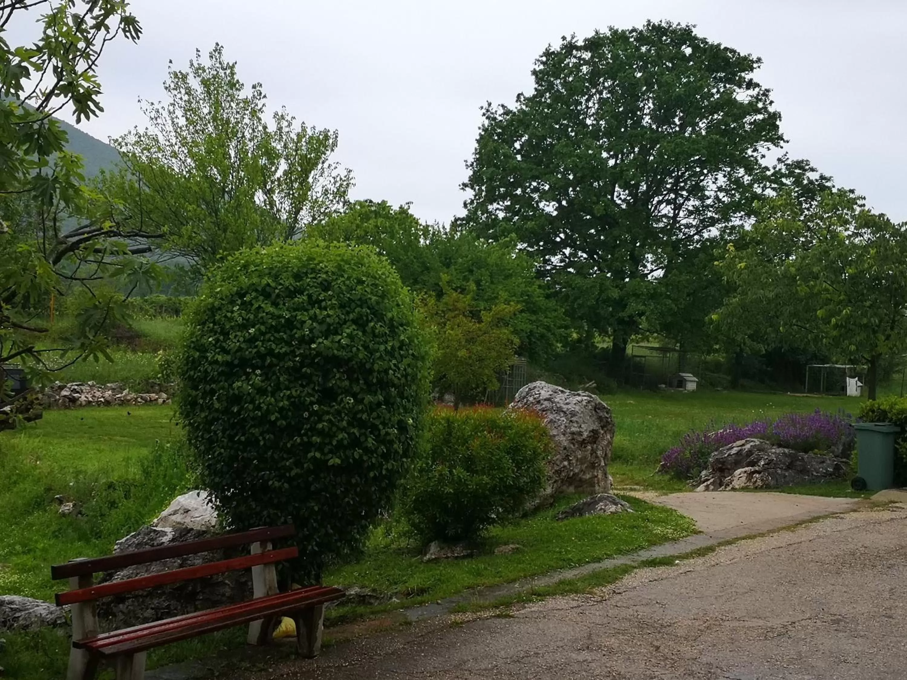 Garden in B&B Villa Ellena