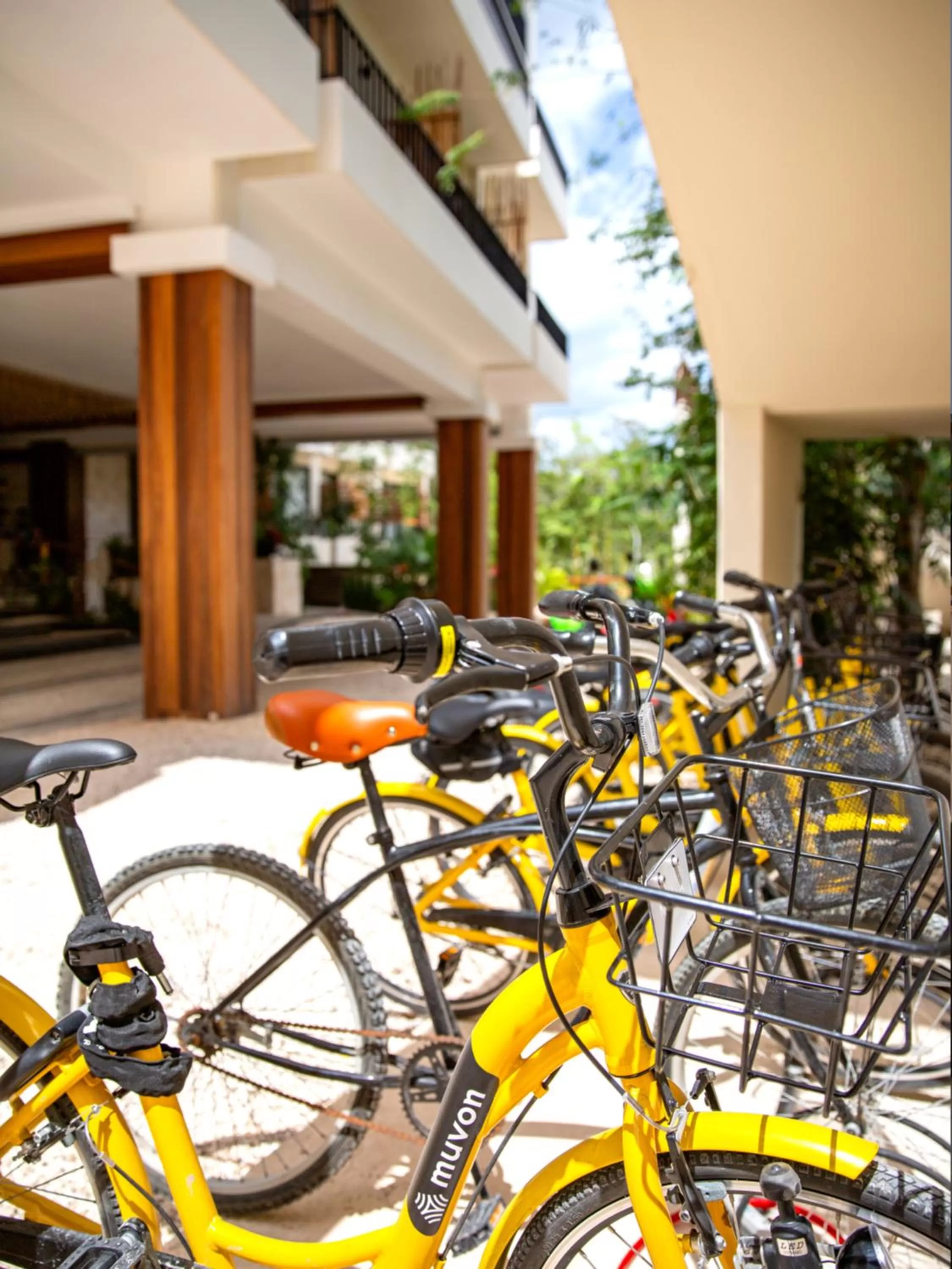 Cycling in Naala Tulum