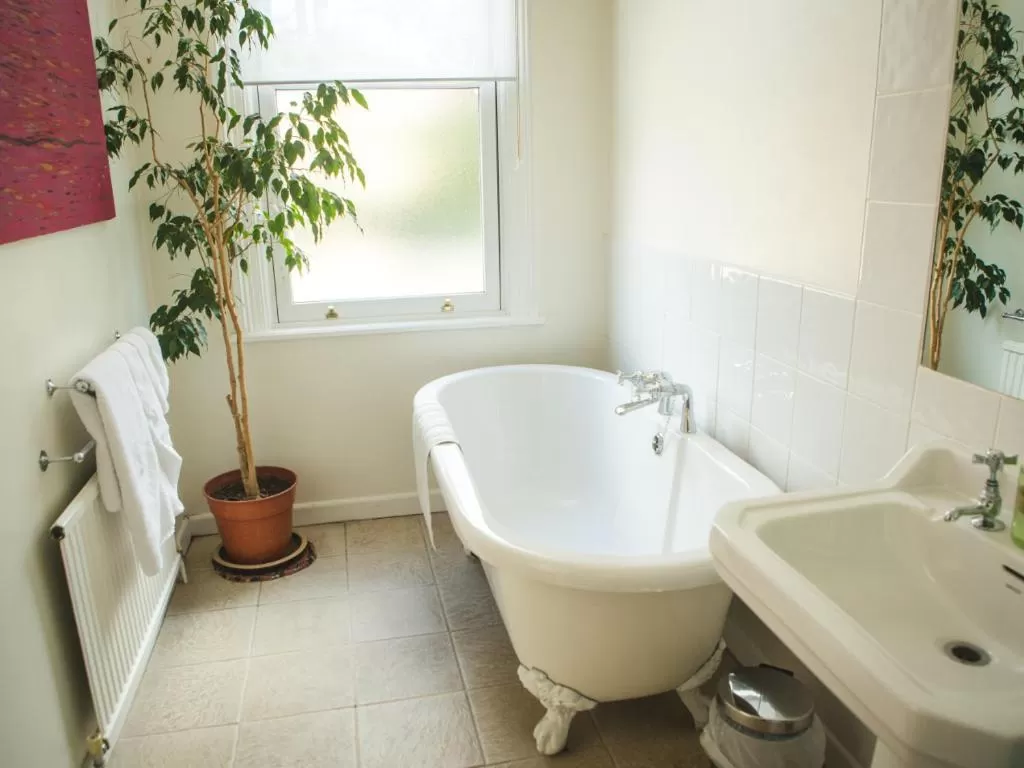 Deluxe King Room in Somerville House