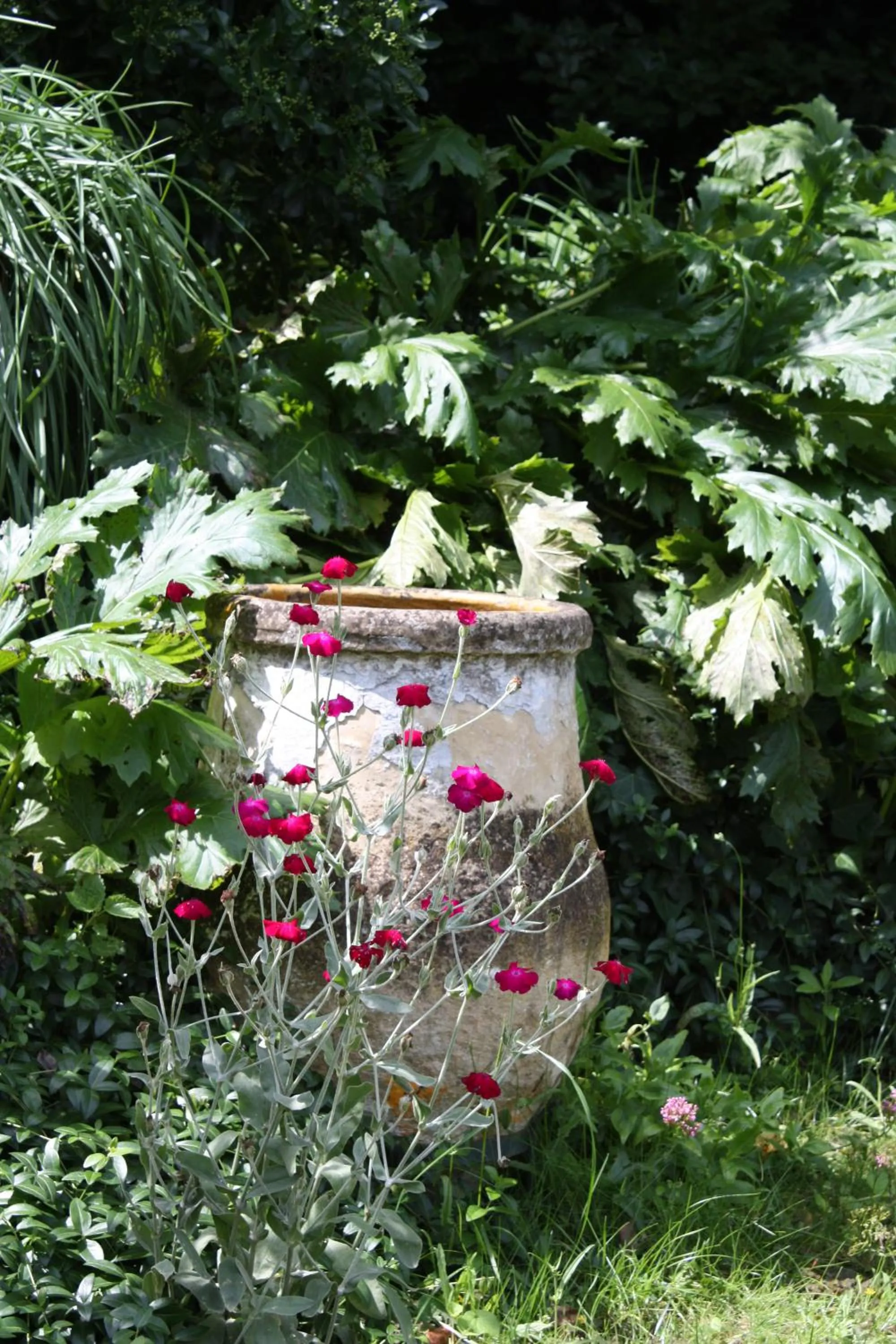 Spring in Hotel Le Mas Trilles