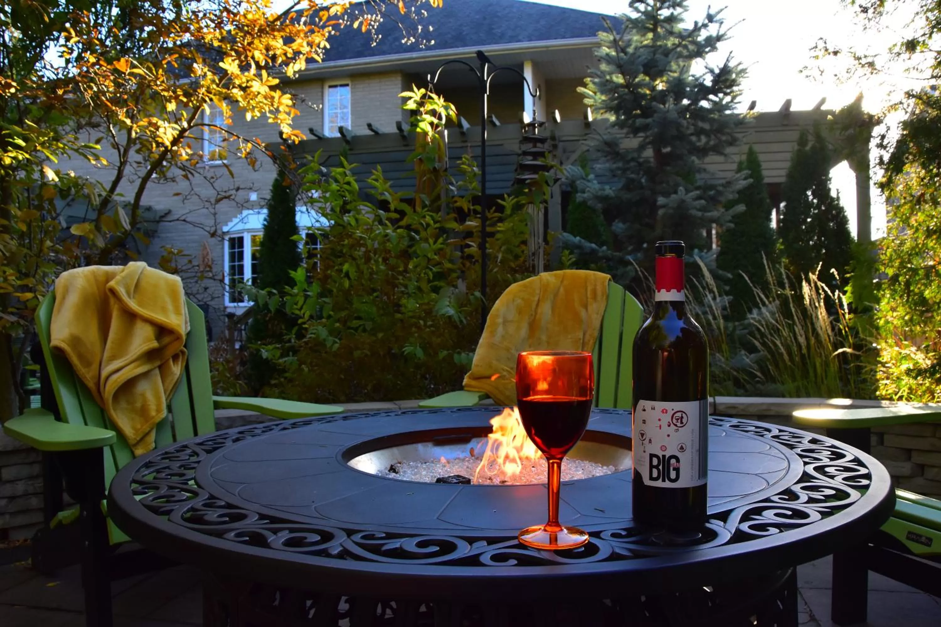 Garden, Drinks in Explorer House Bed & Breakfast