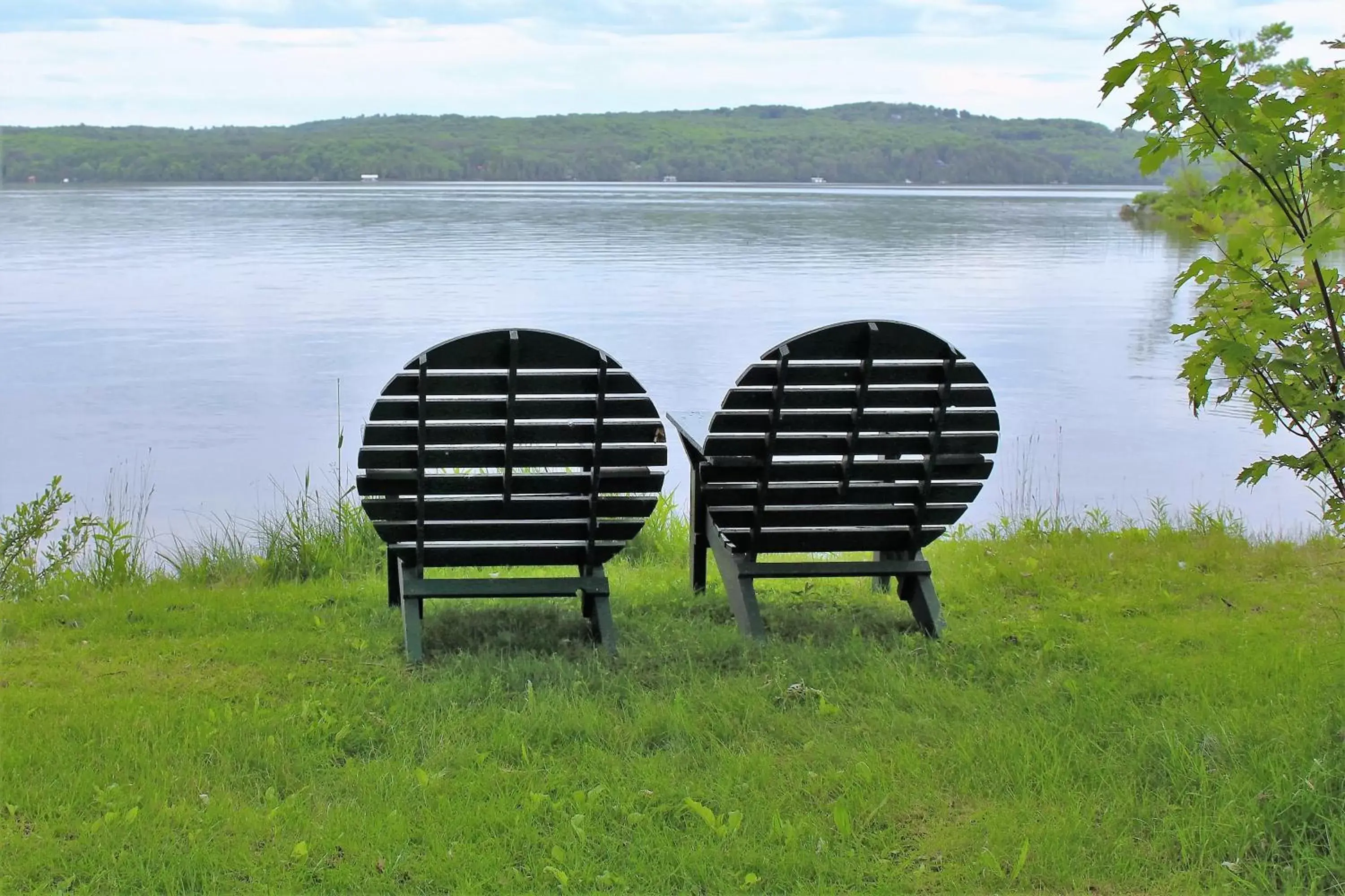 Tally Ho Inn Tally Ho Inn