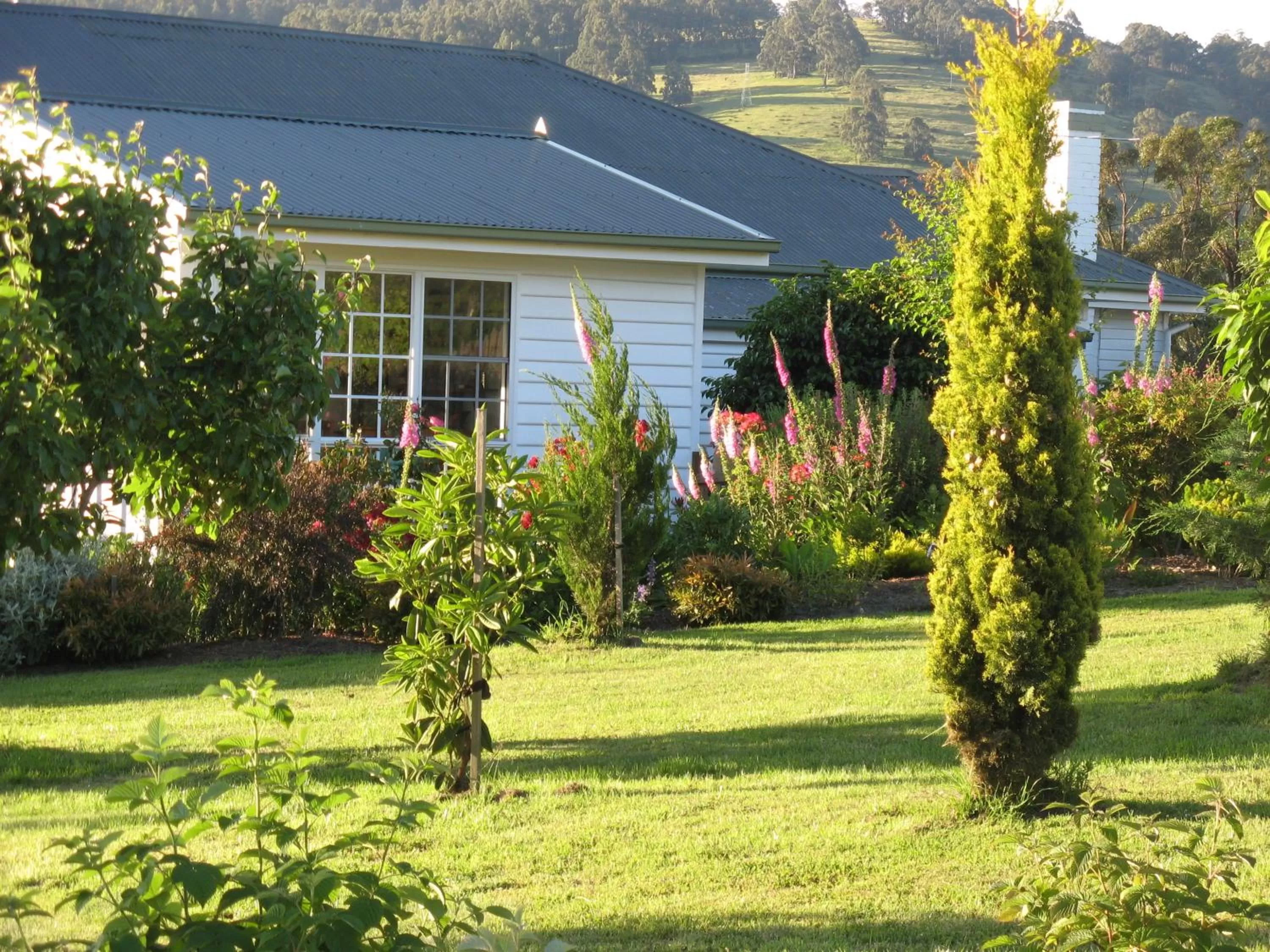Garden view in Hillside Bed and Breakfast