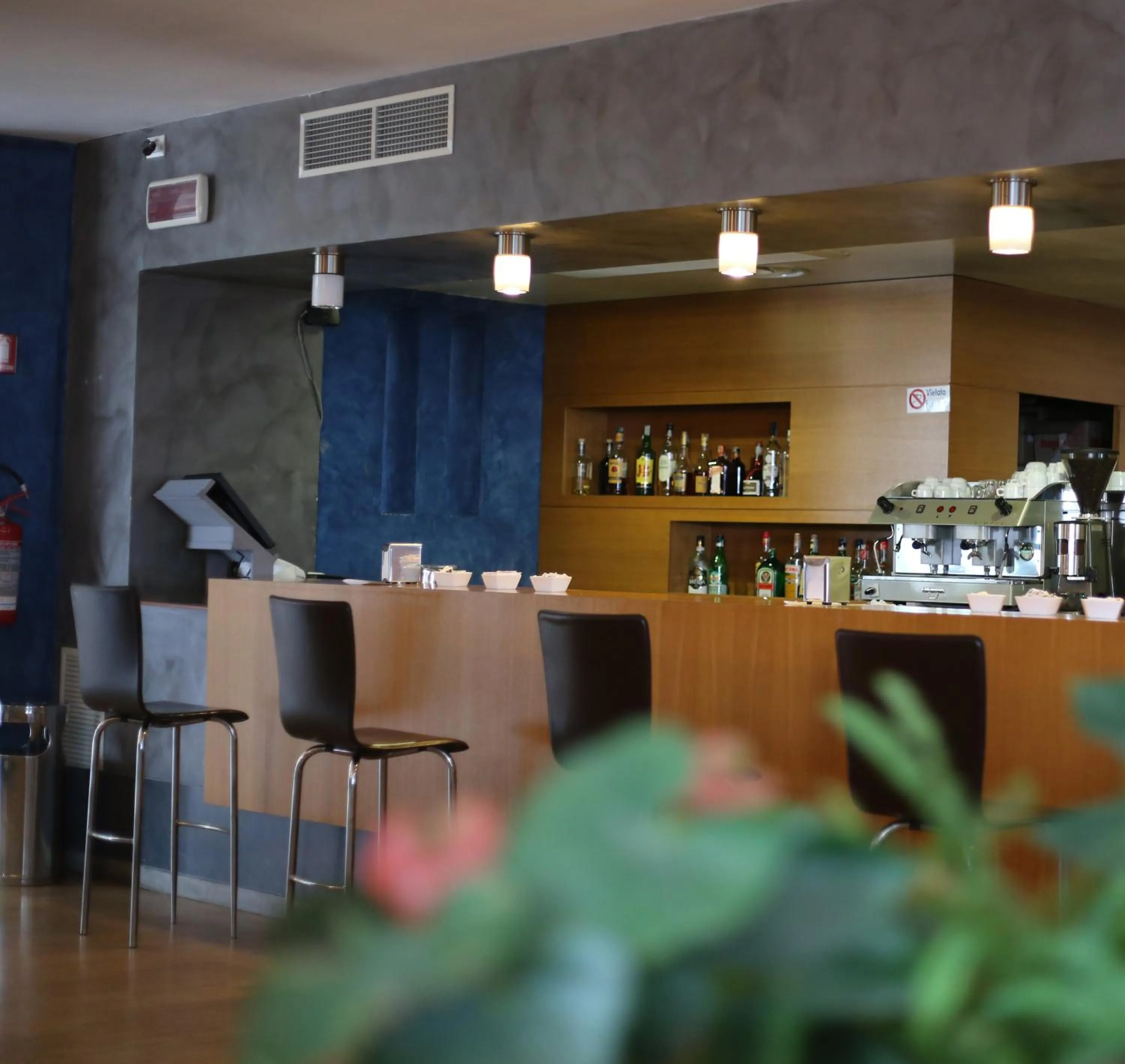 Lounge or bar in Sea Lion Hotel