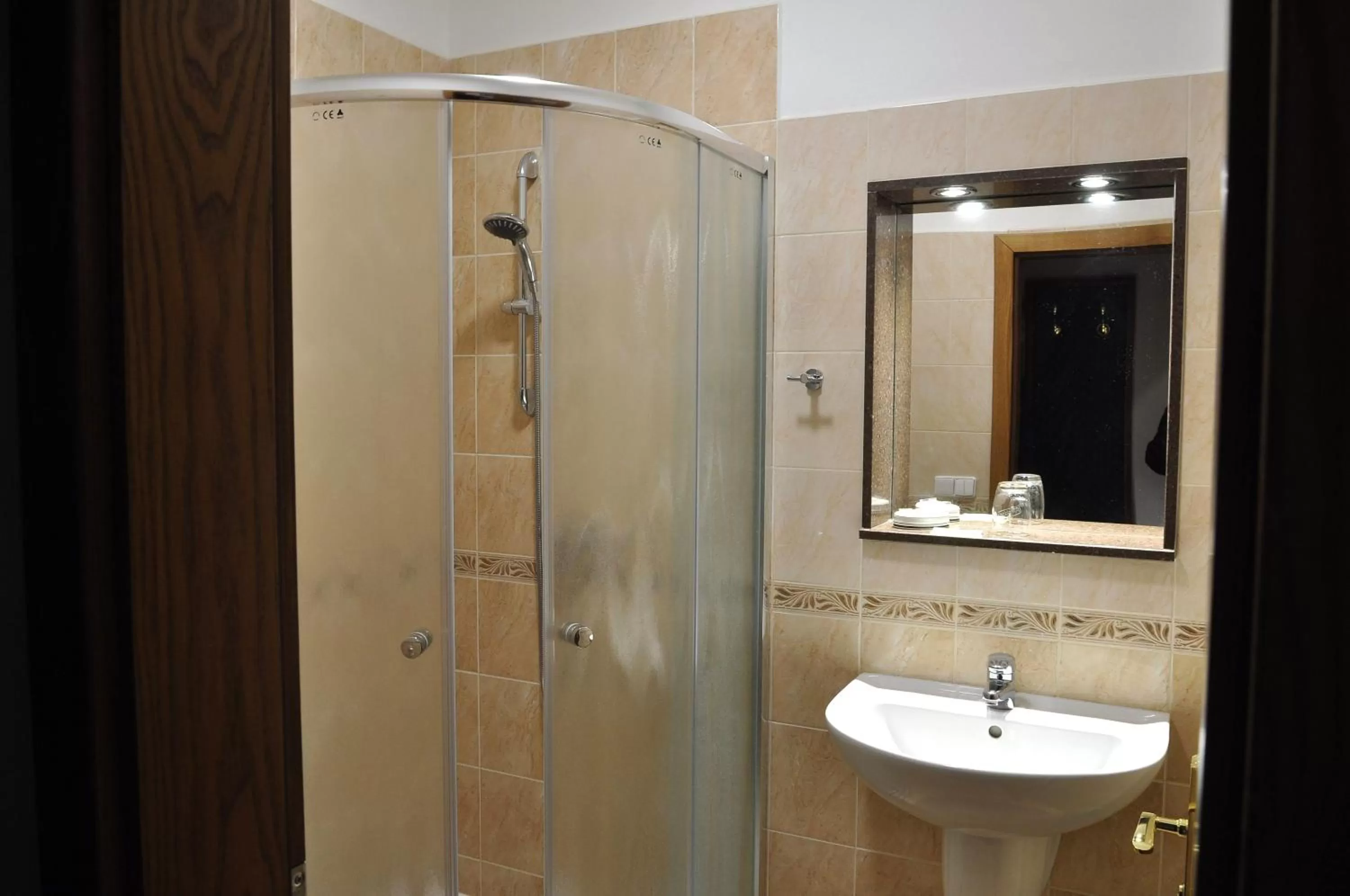 Bathroom in Hotel U Bílého koně