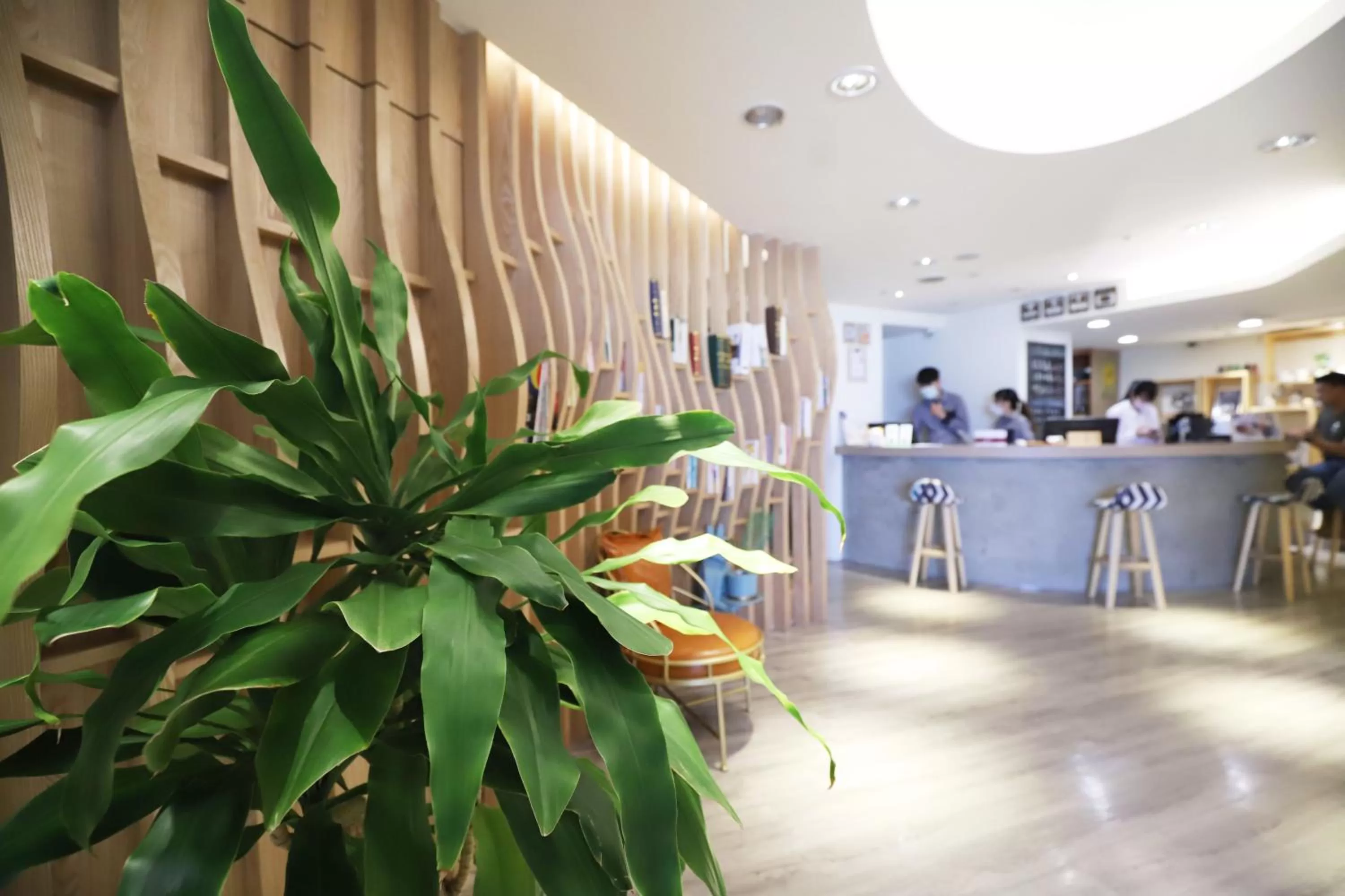 Lobby or reception in Dream 12 Hotel