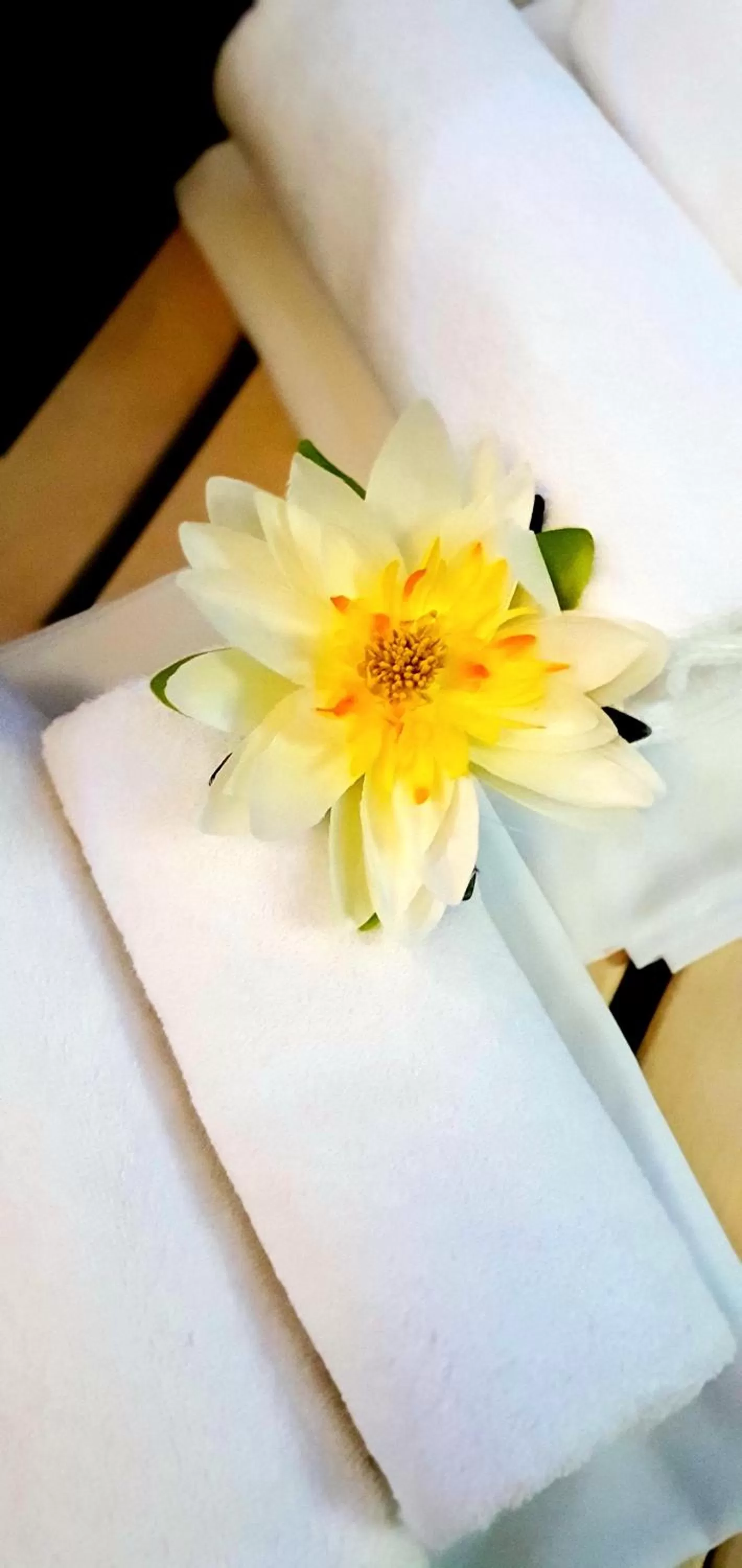 Spa and wellness centre/facilities, Bed in Hotel Farma Vysoká