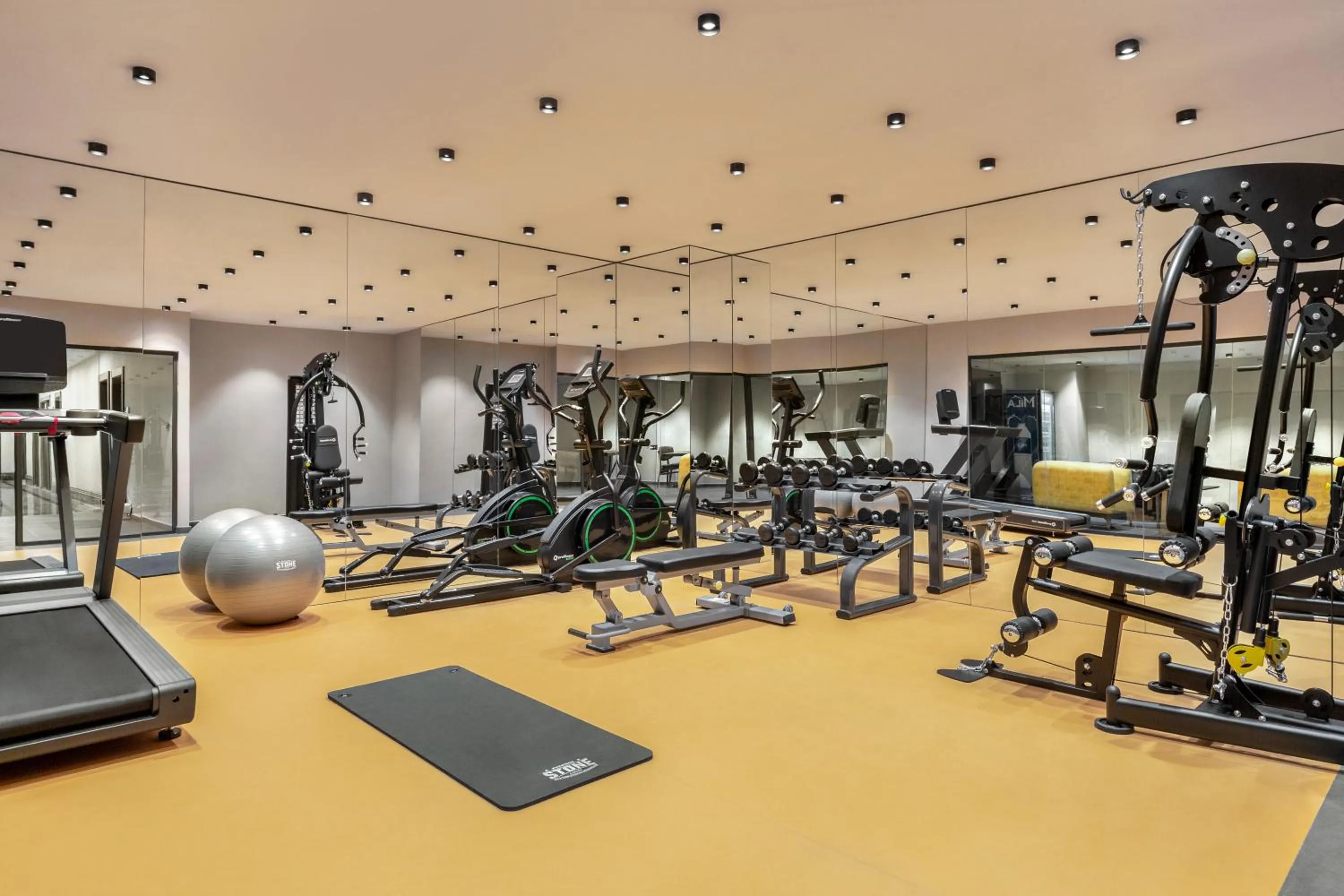 Fitness centre/facilities in Ramada by Wyndham Istanbul Umraniye