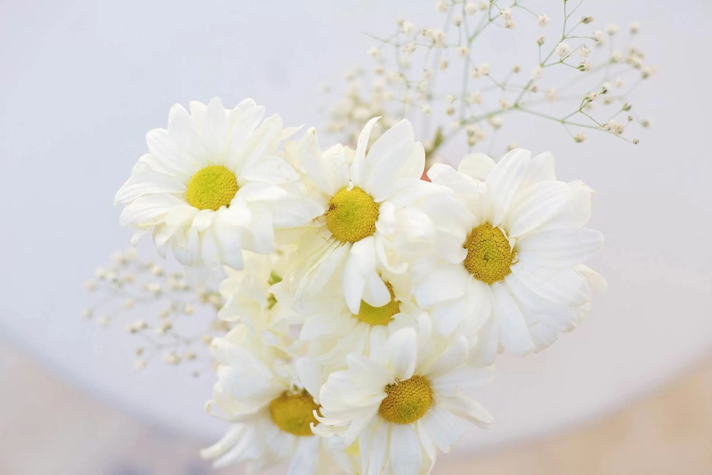 Decorative detail in Punta Piedra Beach Posada