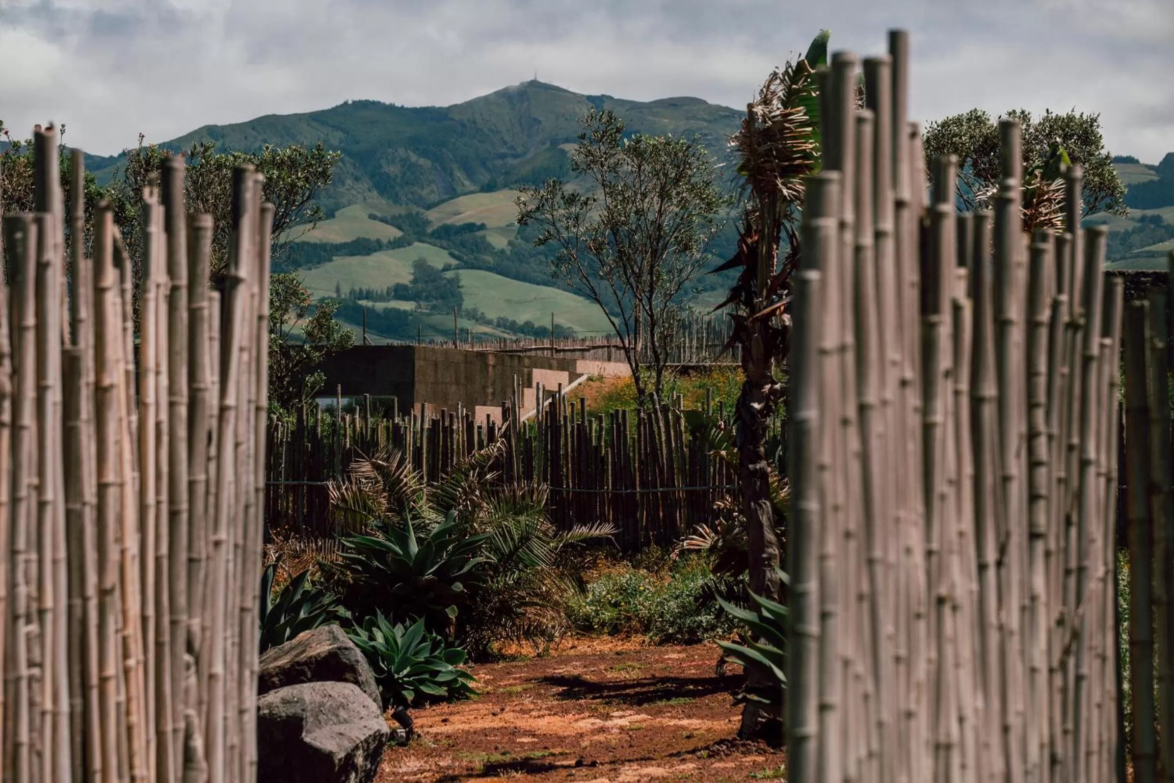 Mountain view in Santa Barbara Eco-Beach Resort