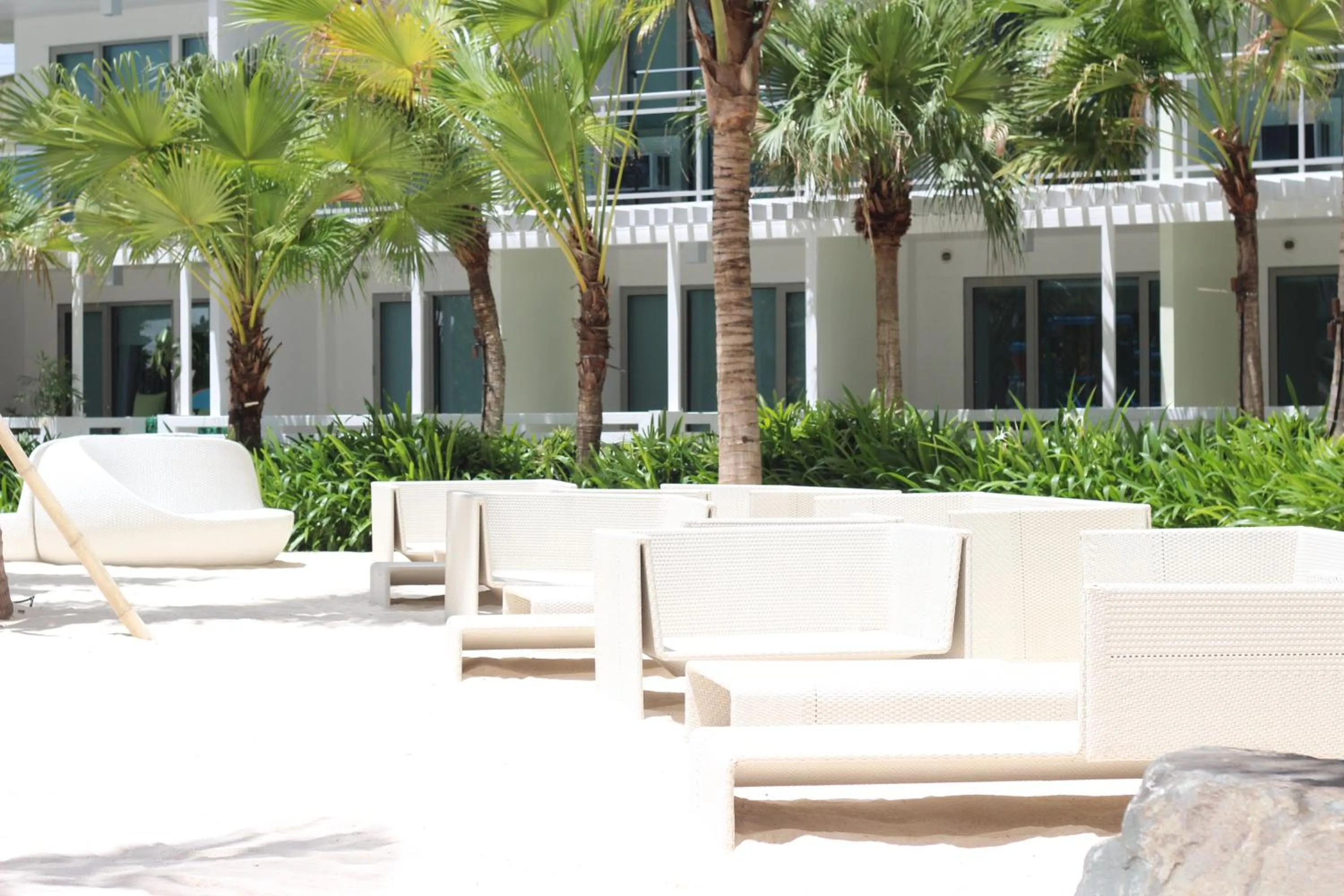 Beach in Azure Tropical Paradise