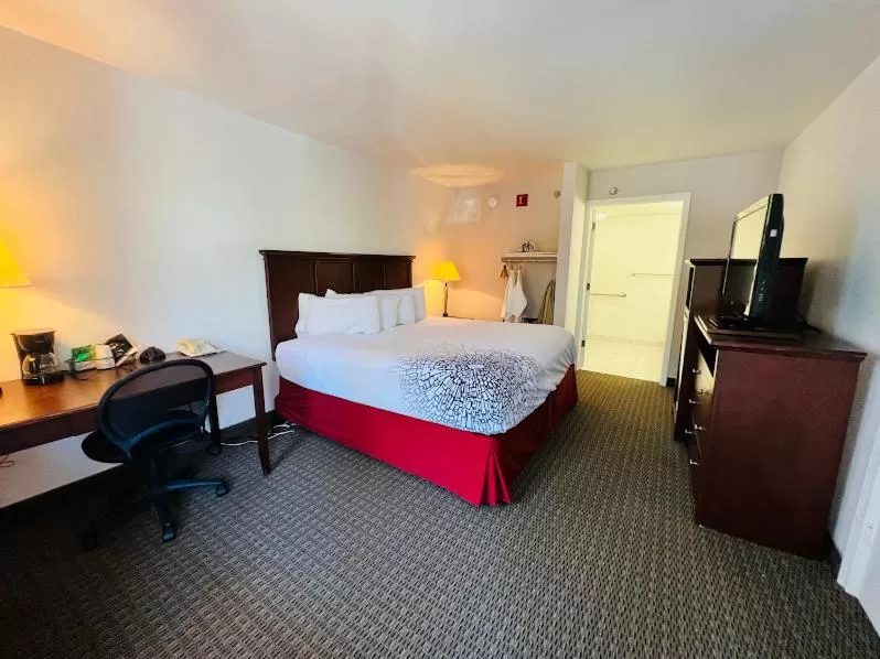 Photo of the whole room in Celebrity Inn