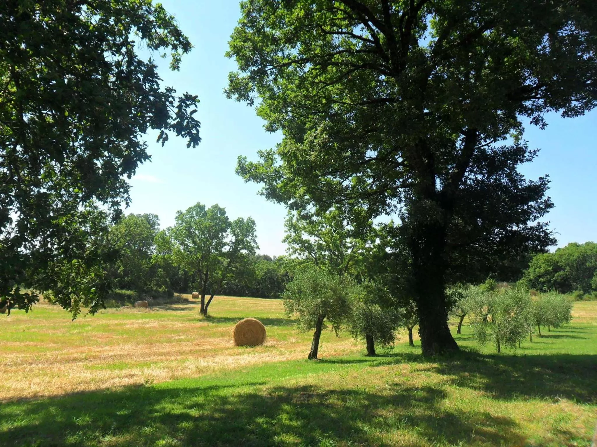 Area and facilities, Garden in Casale Santa Caterina
