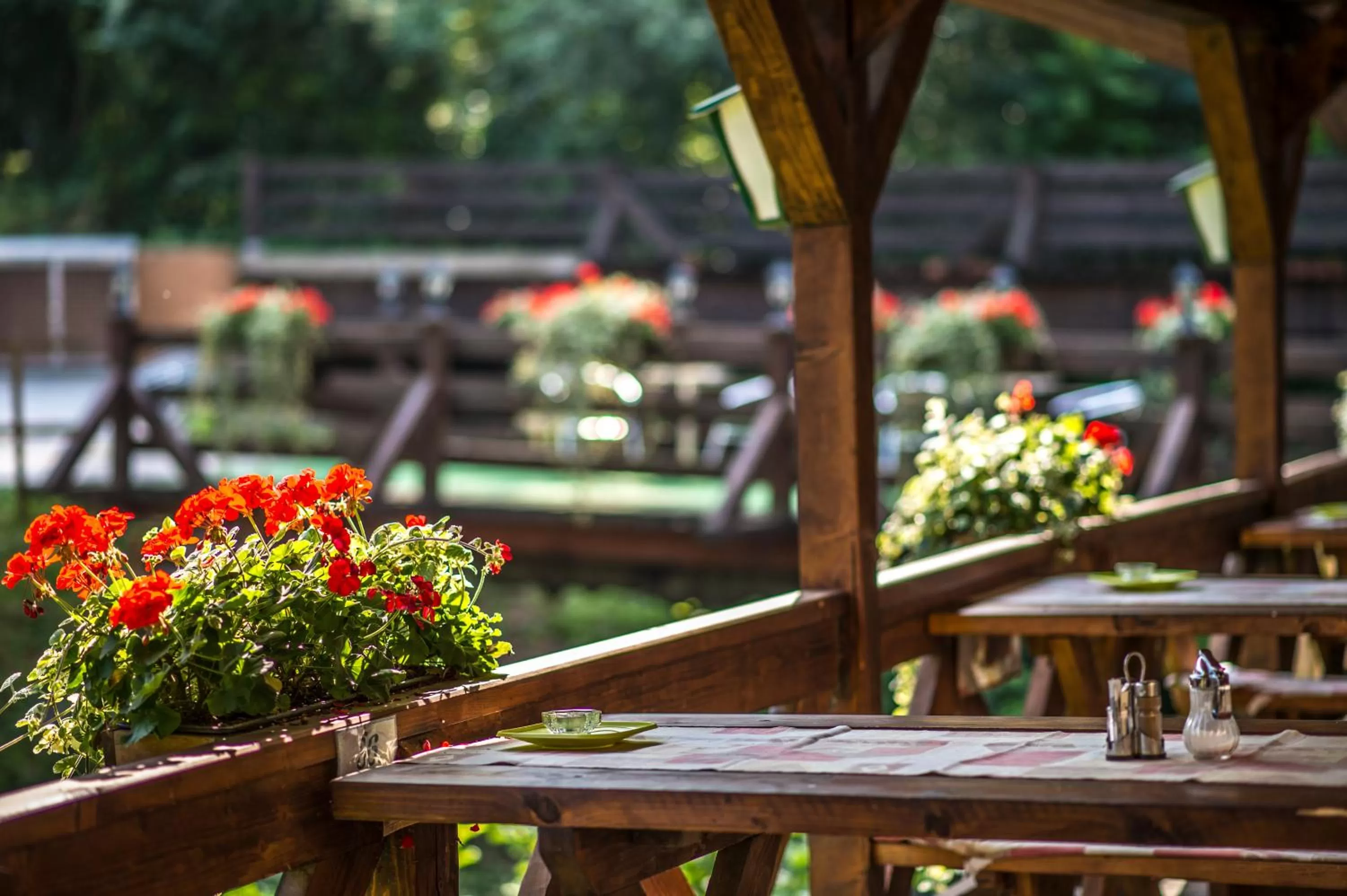 Balcony/Terrace in Patak Park Hotel Visegrád
