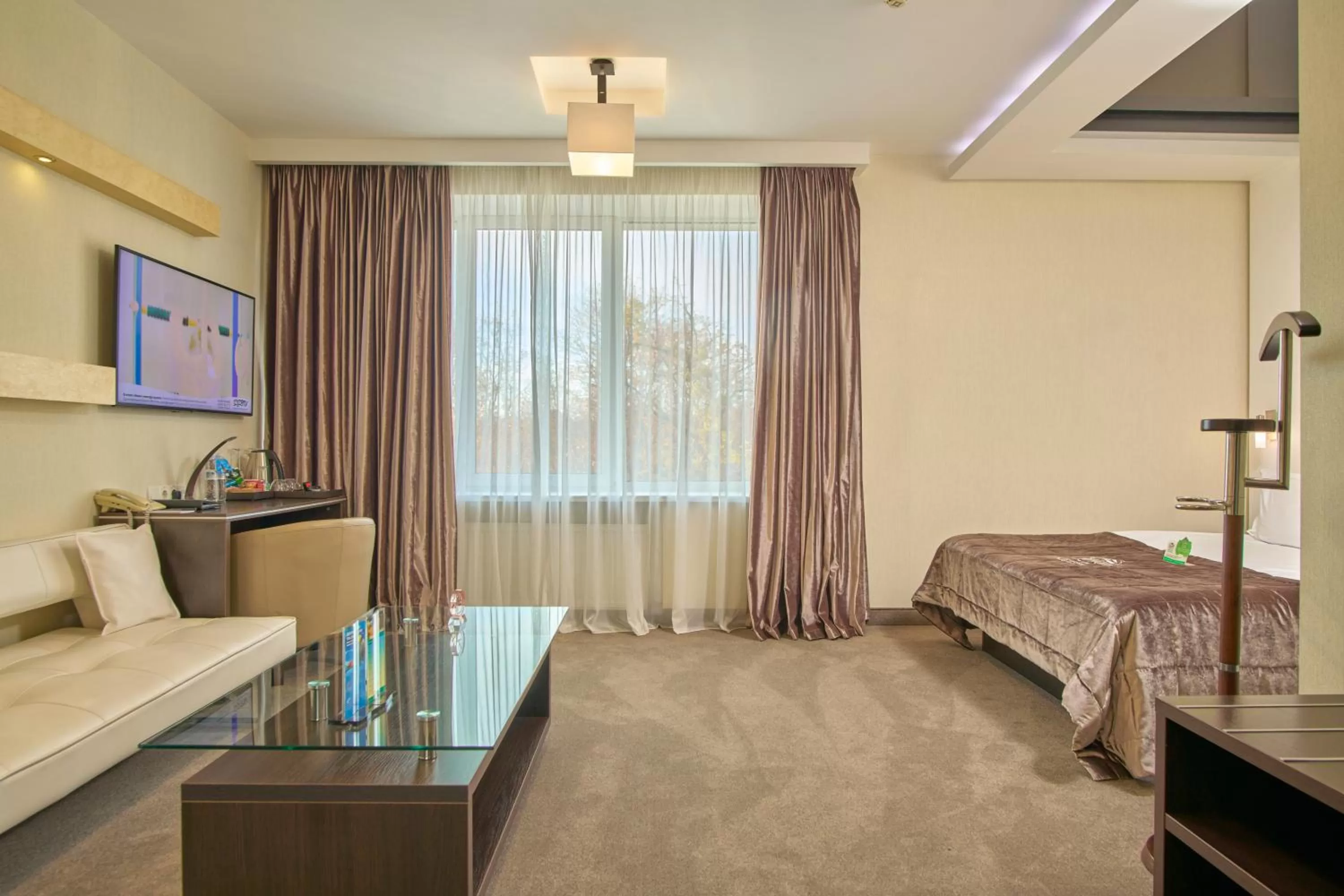 Superior Double Room in Hotel & Spa NEMO with dolphins