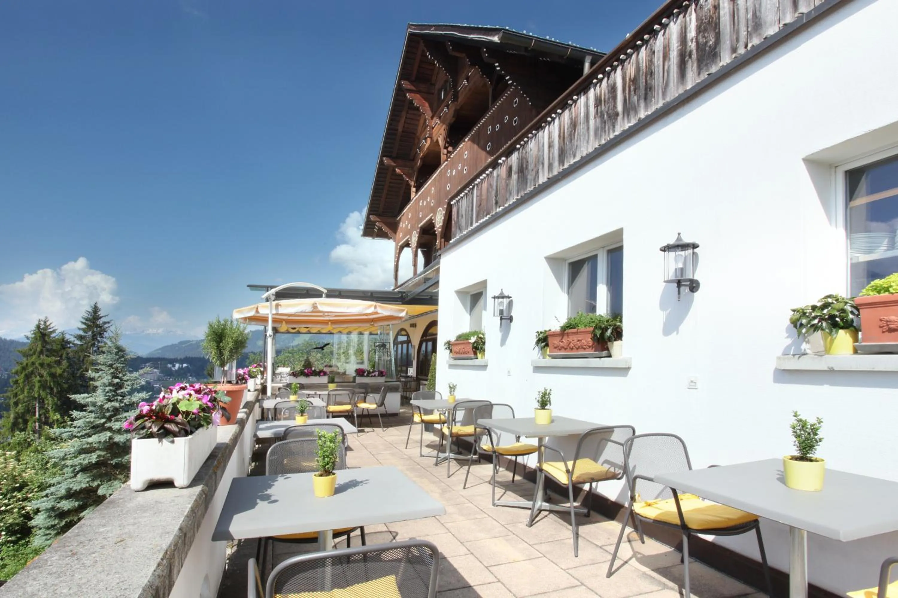 Restaurant/places to eat in FidazerHof