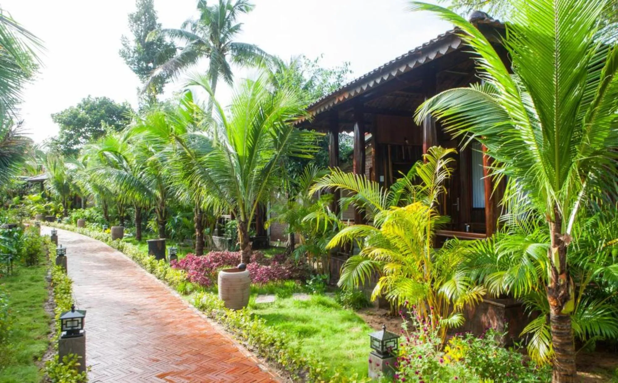 Natural landscape in Elwood Premier Resort Phu Quoc