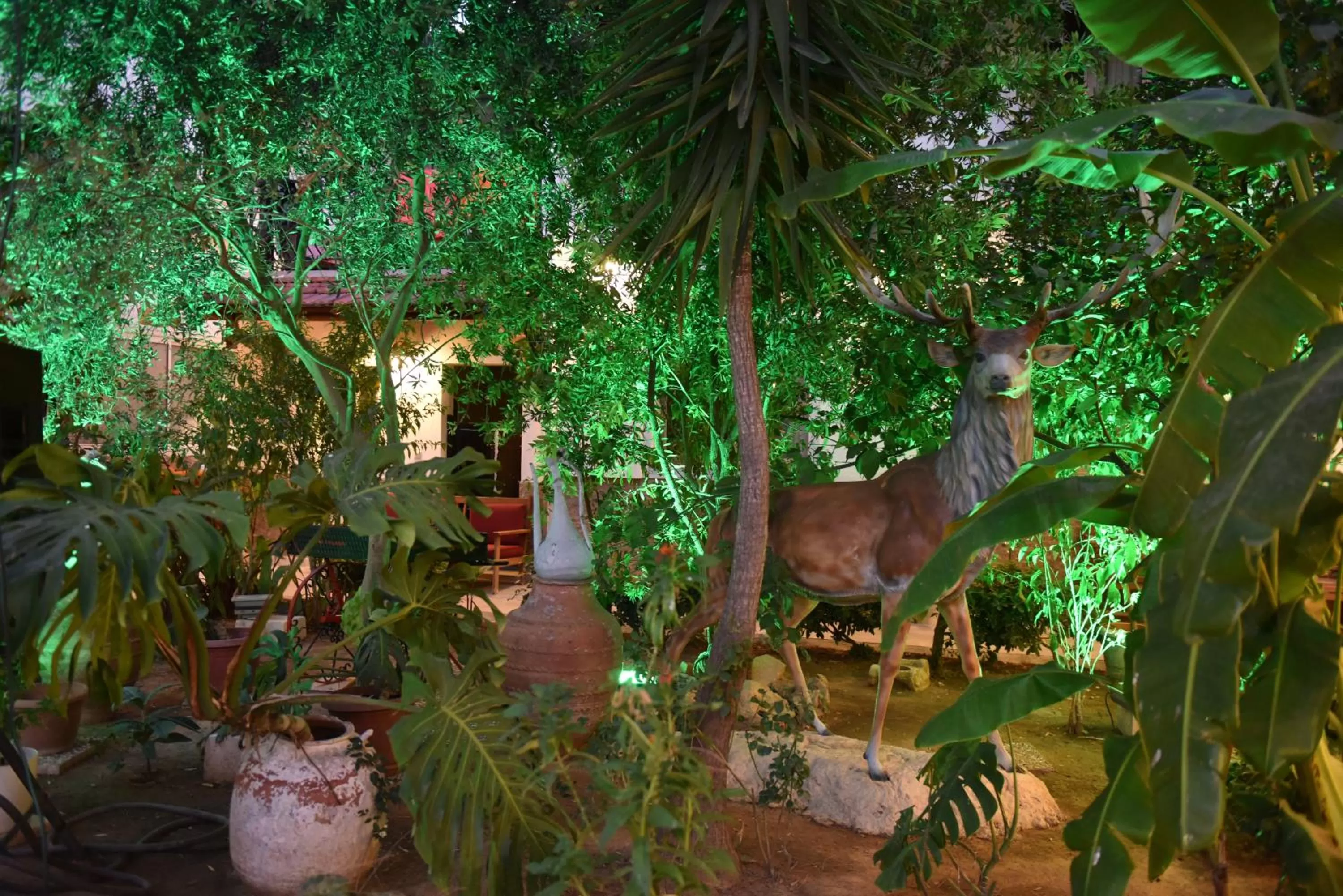 Garden view in Istankoy Hotel