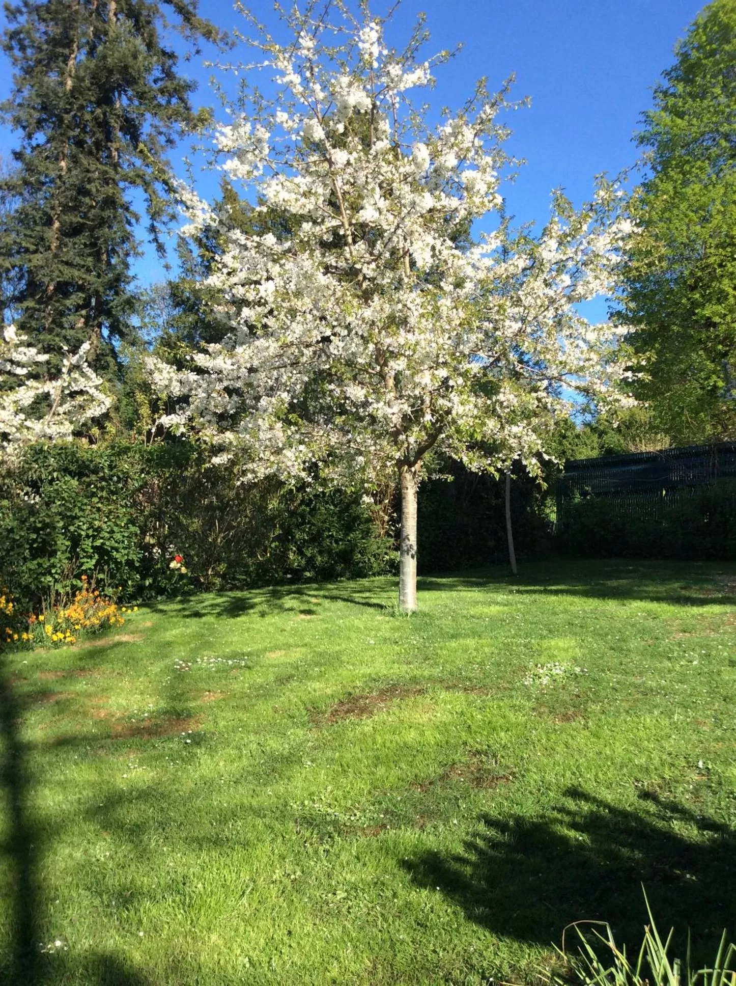 Garden in Les Chambres D'oriane