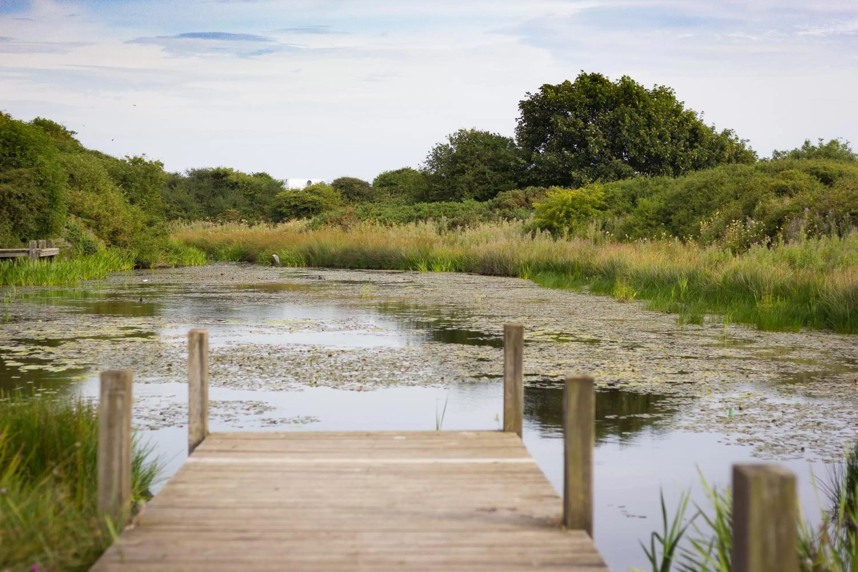 Natural landscape in The Bay Filey Holiday Village