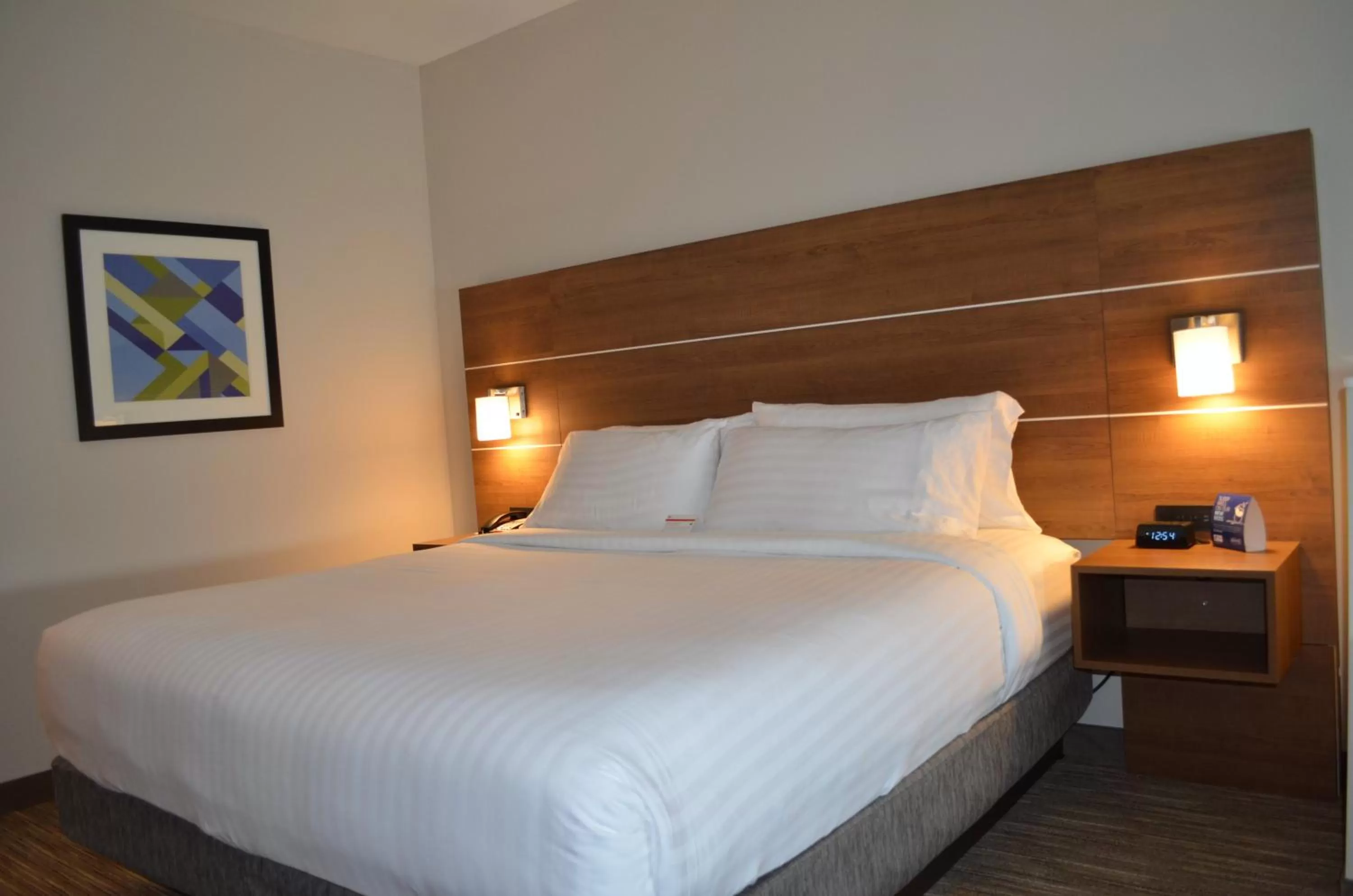 Photo of the whole room, Bed in Holiday Inn Express & Suites - Charlotte NE - University Area by IHG