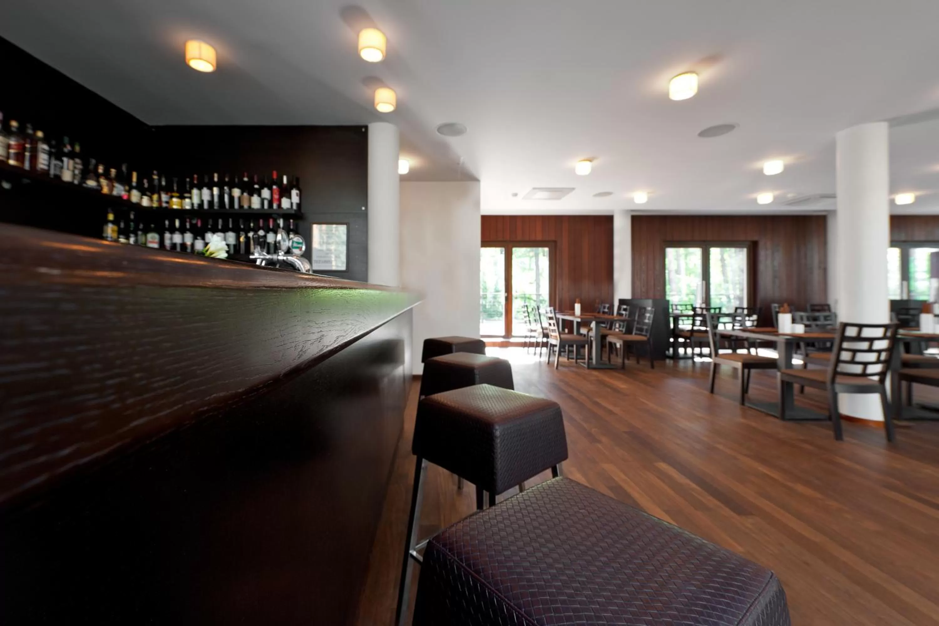 Lounge or bar in Belvilis Hotel