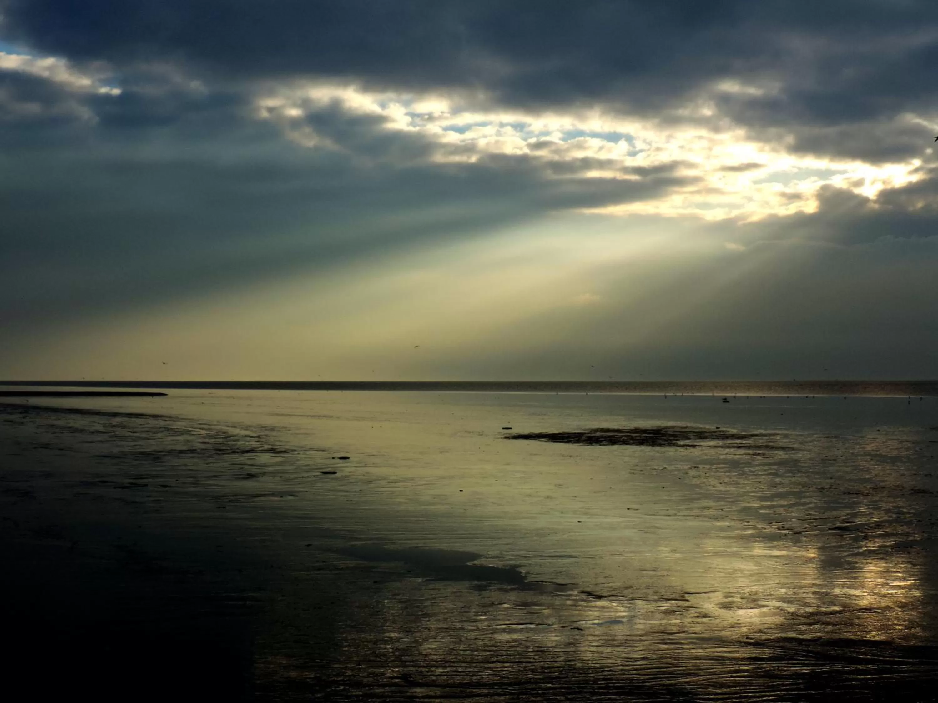 Natural landscape in Boutique Hotel De Eilanden