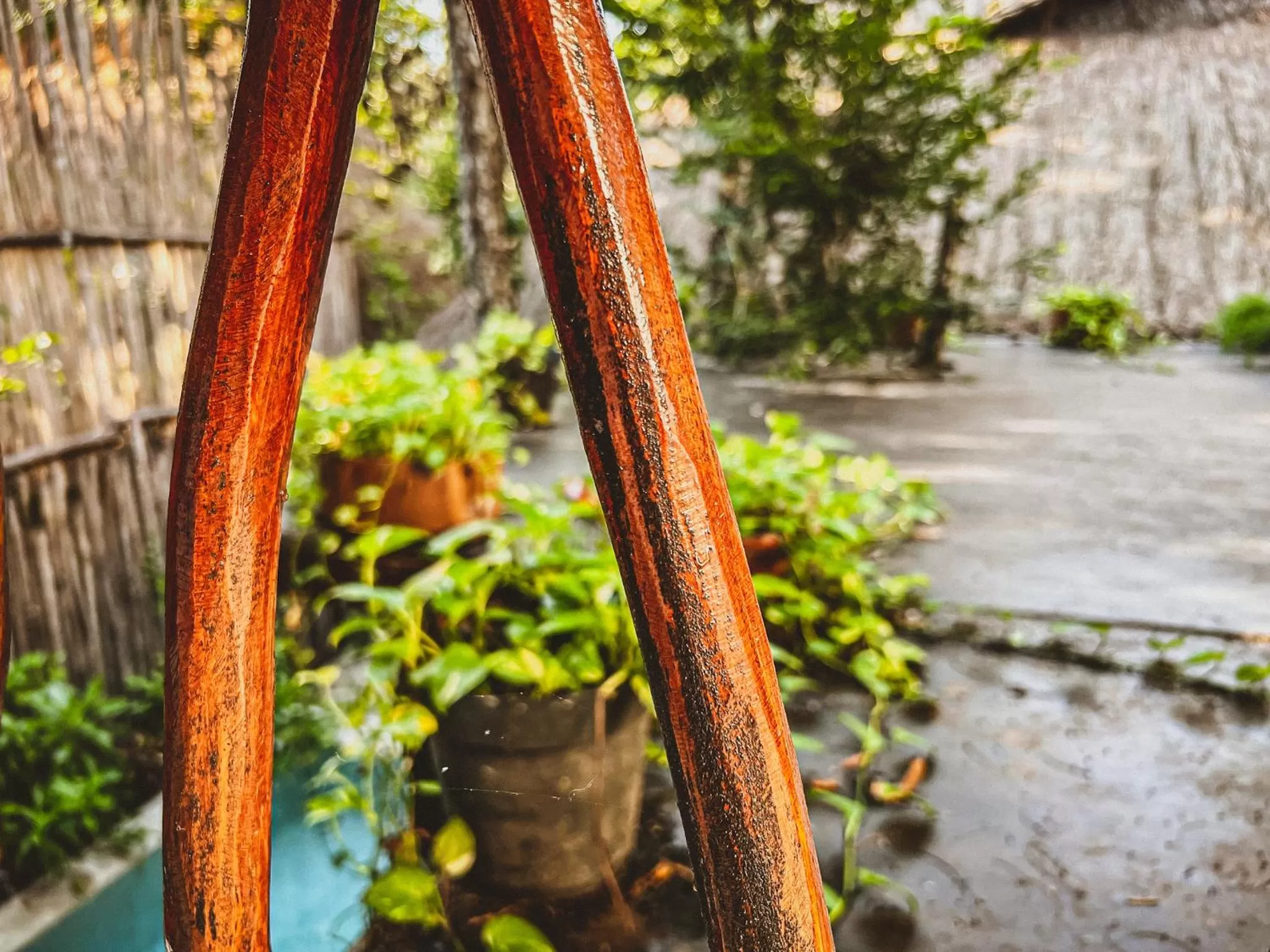 Garden in Orchid House Tulum Jungle